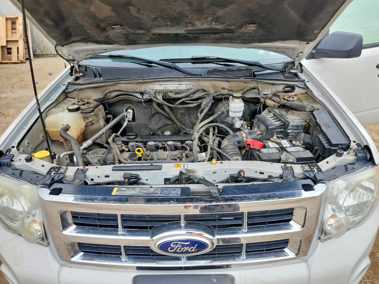 2012 Ford Escape Xlt White vin: 1FMCU0D73CKB96903