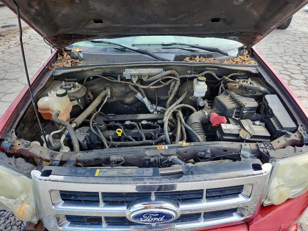 2010 Ford Escape Xlt Бордовый vin: 1FMCU0D74AKB51711