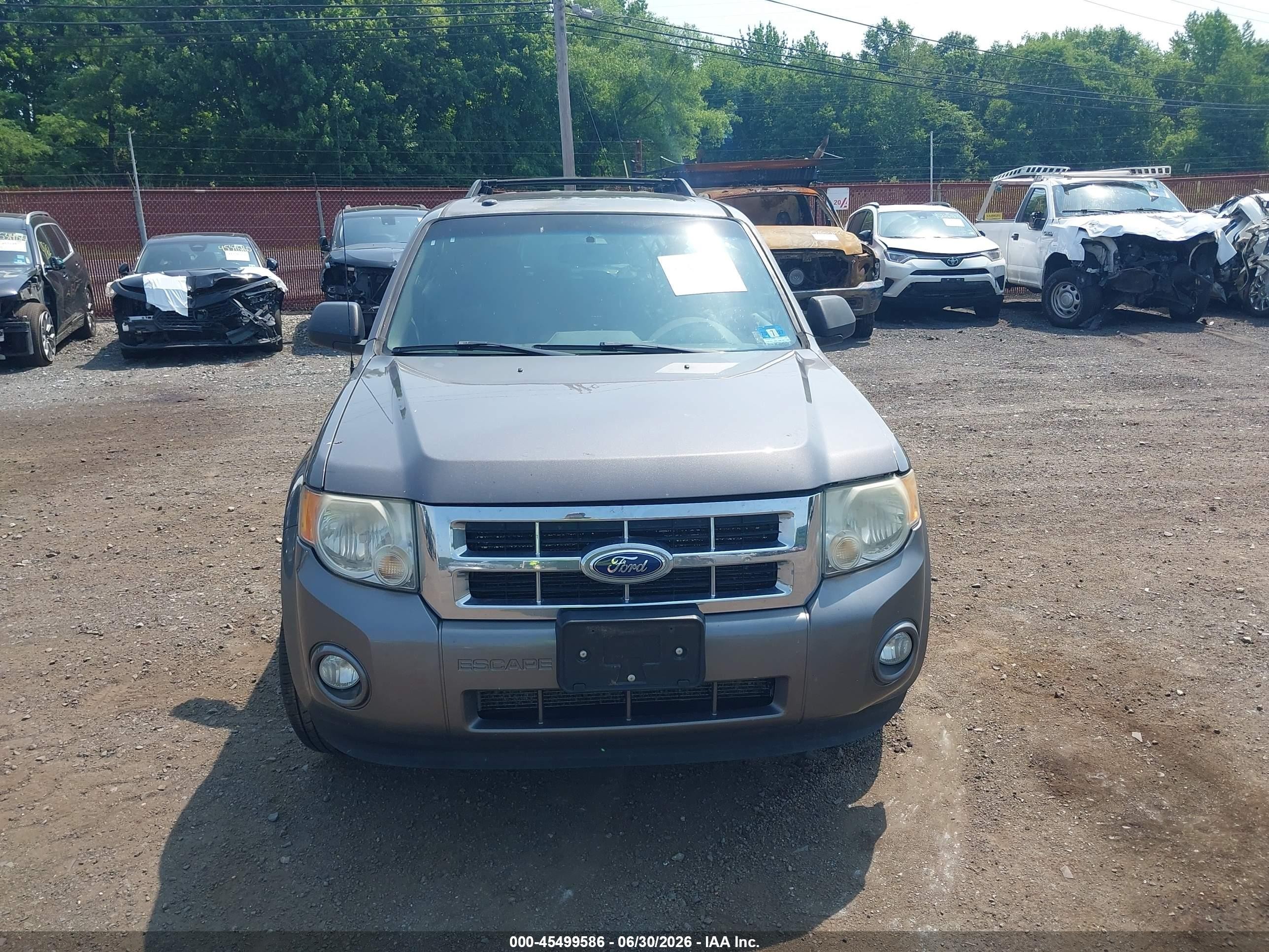 2011 Ford Escape Xlt Gray vin: 1FMCU0D74BKA79880