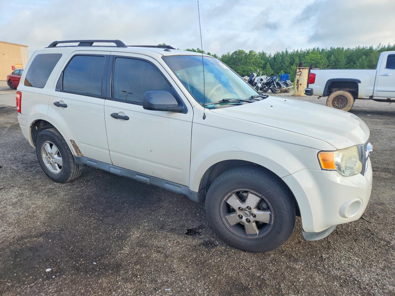 2011 Ford Escape Xlt White vin: 1FMCU0D74BKB54187
