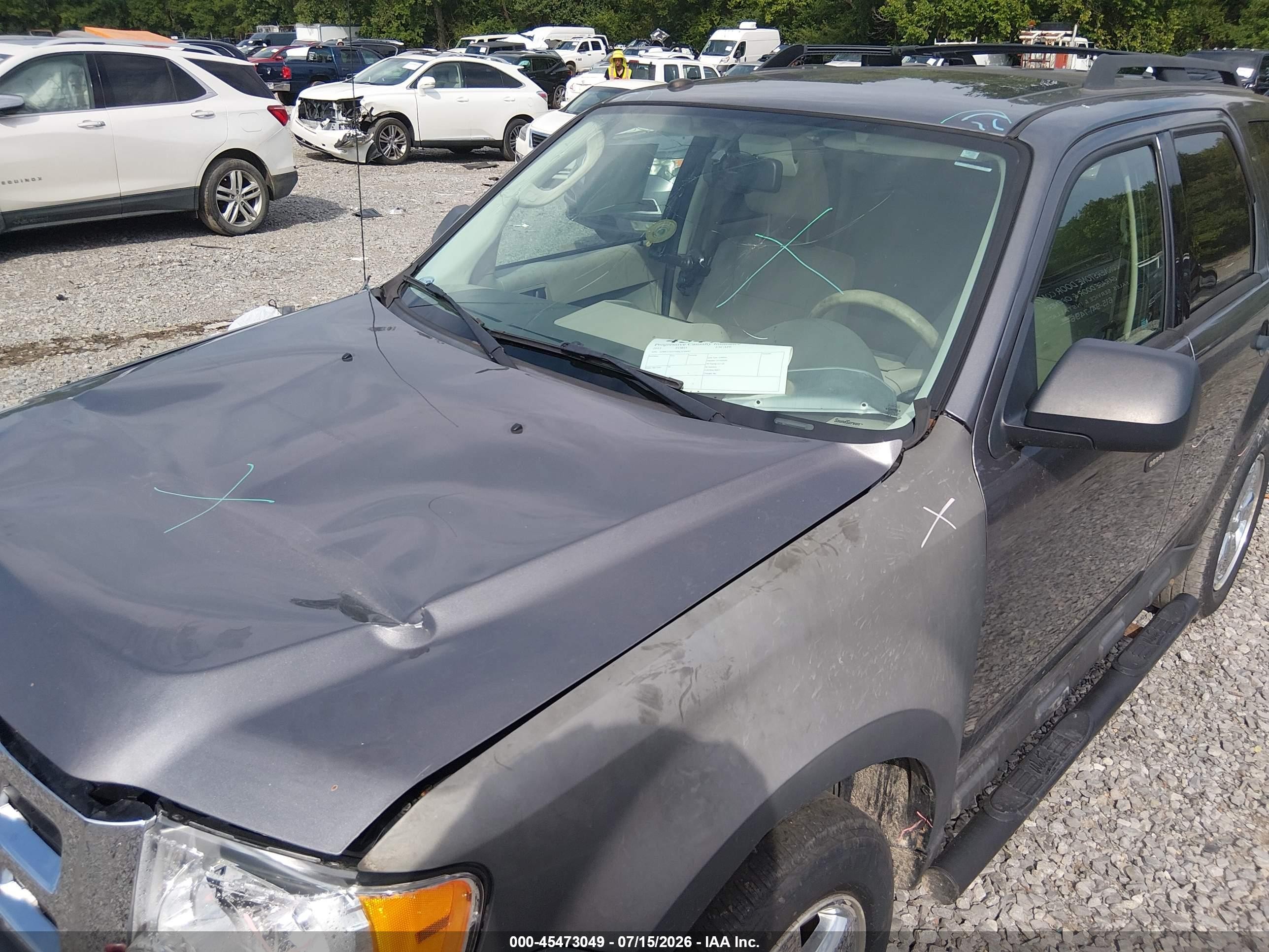 2011 Ford Escape Xlt Gray vin: 1FMCU0D75BKA36682