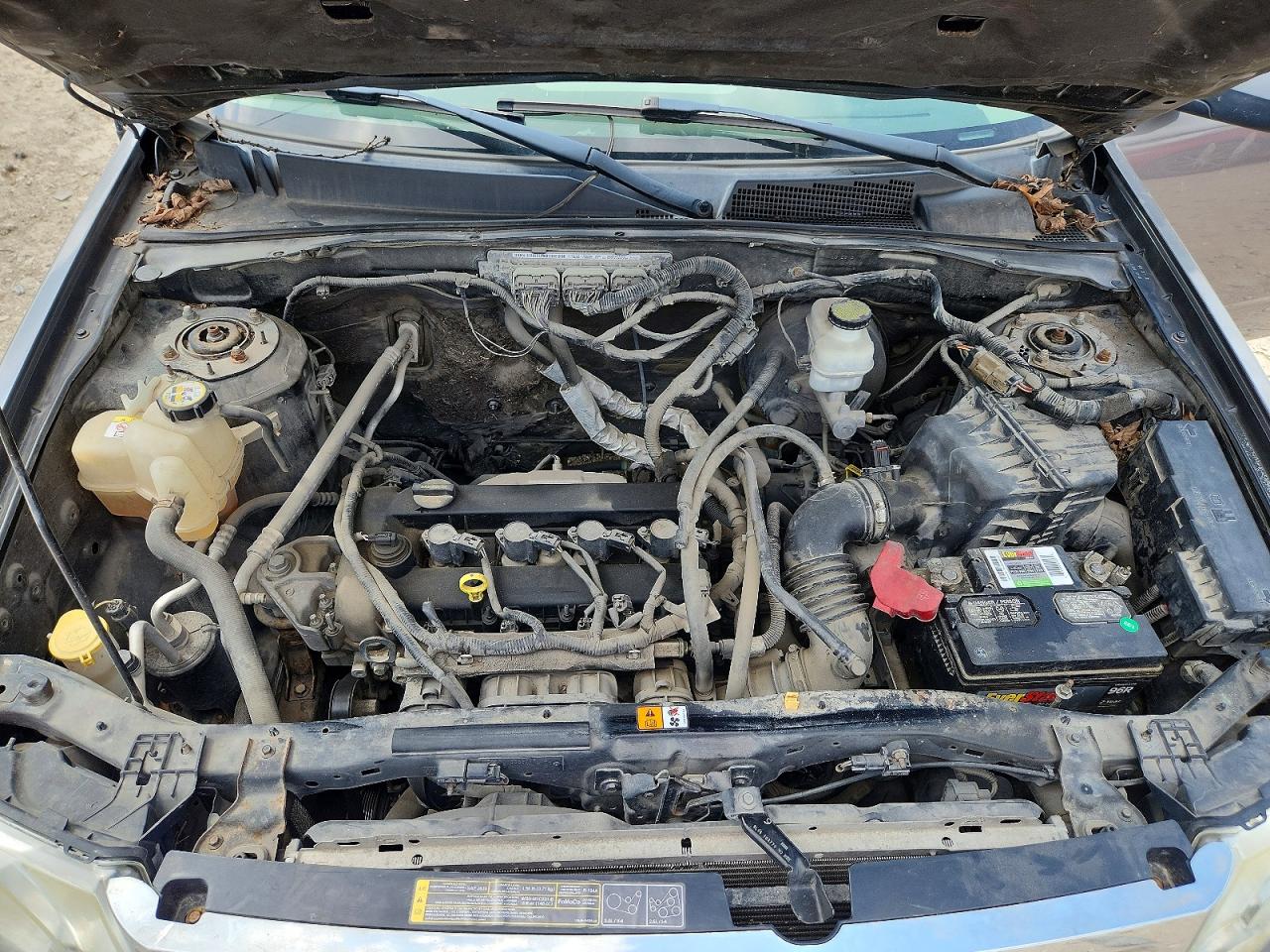 2011 Ford Escape Xlt Gray vin: 1FMCU0D75BKA87972