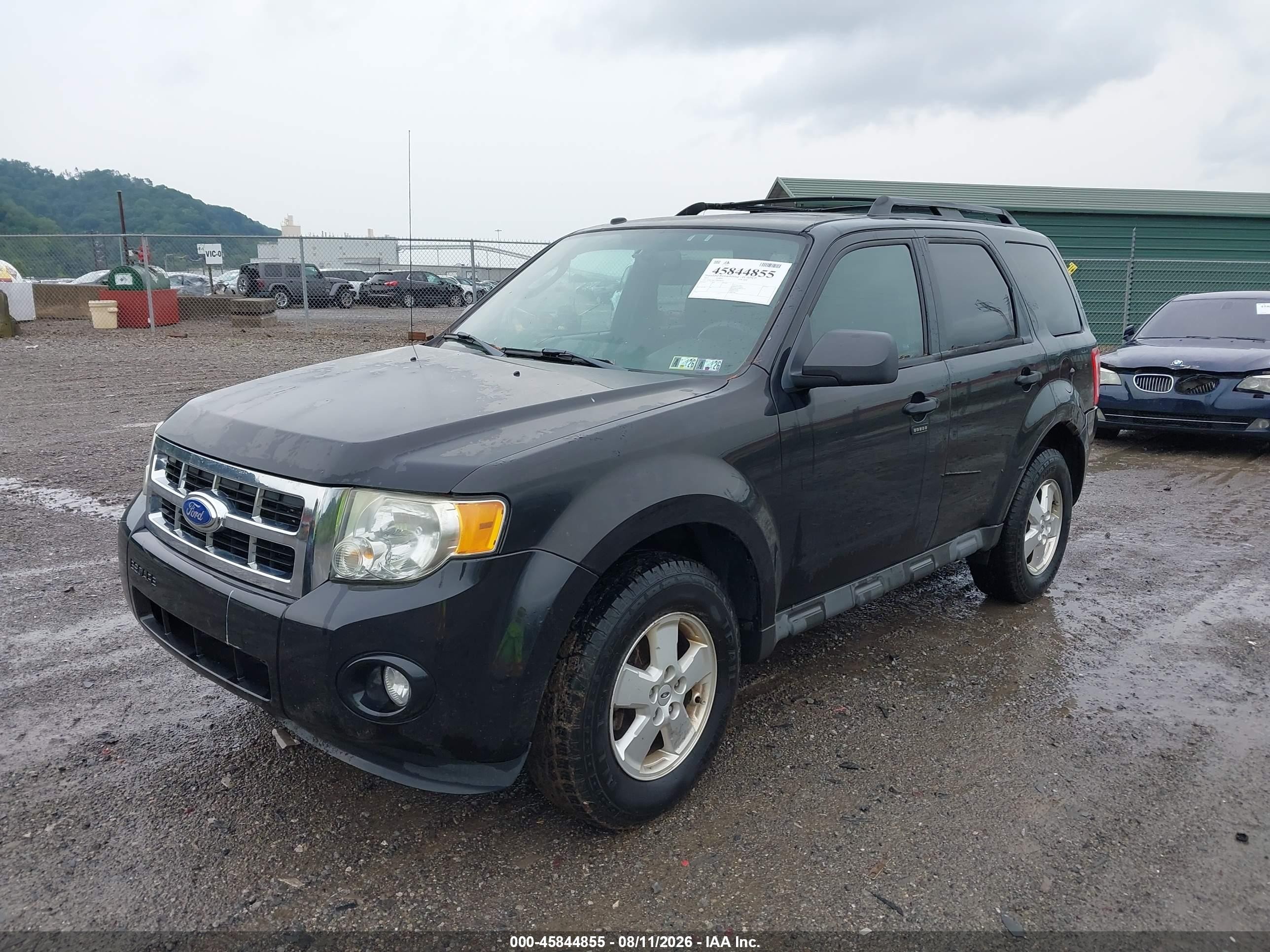2011 Ford Escape Xlt Черный vin: 1FMCU0D75BKB96321