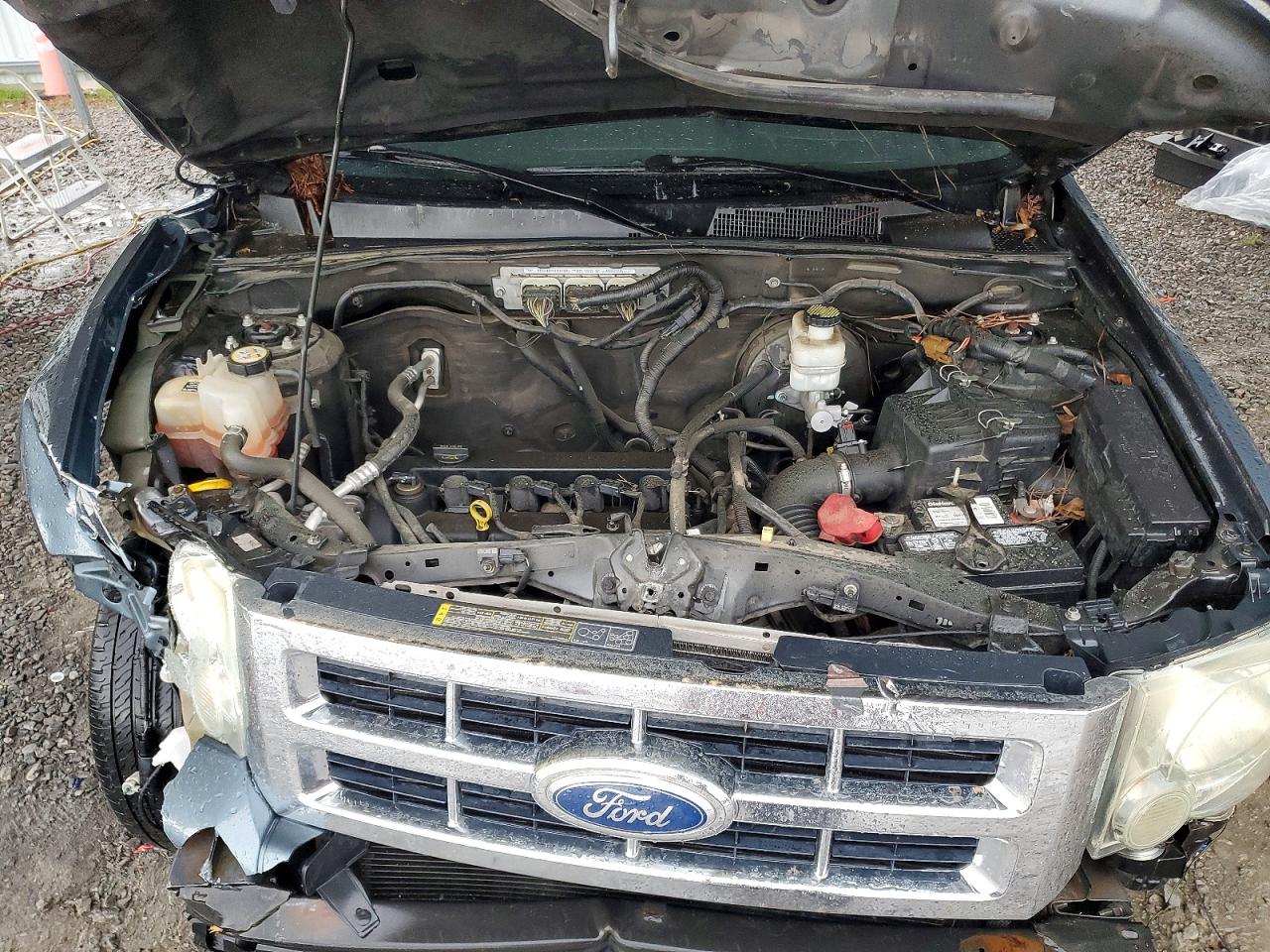 2012 Ford Escape Xlt Blue vin: 1FMCU0D75CKA20127