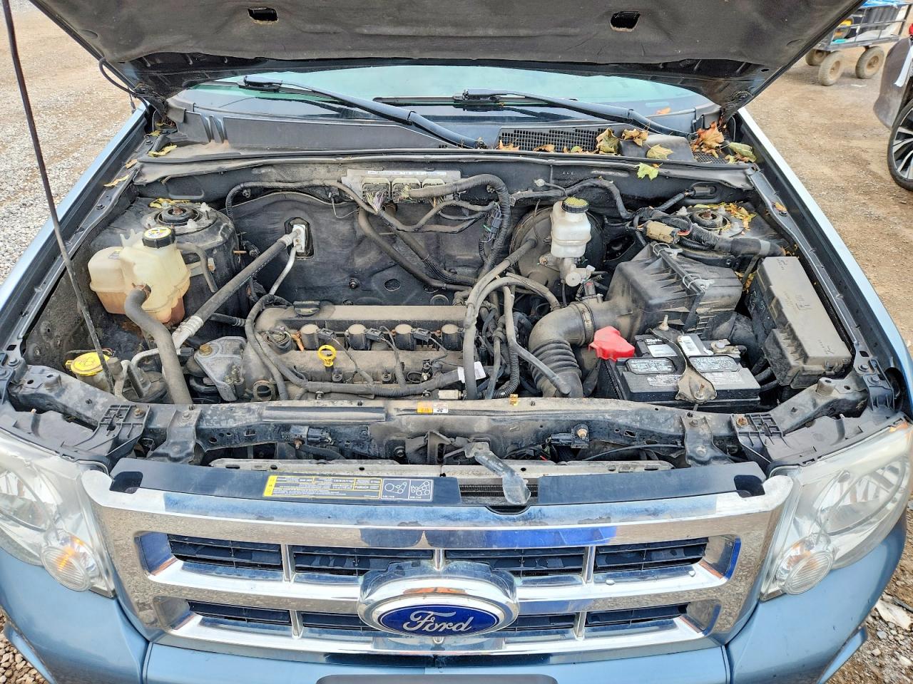 2012 Ford Escape Xlt Blue vin: 1FMCU0D75CKC50251
