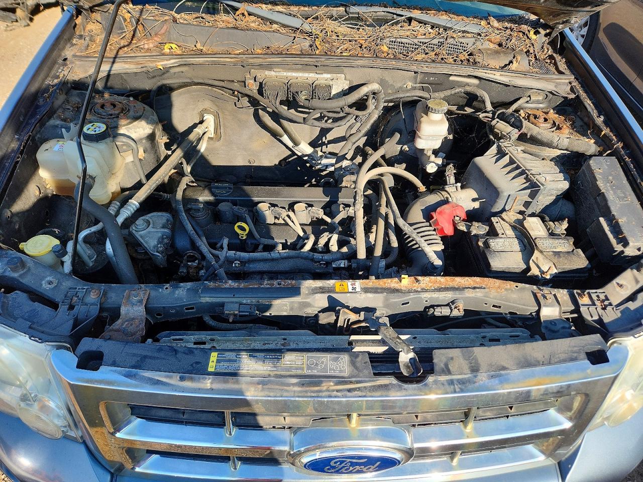 2011 Ford Escape Xlt Blue vin: 1FMCU0D77BKA54780