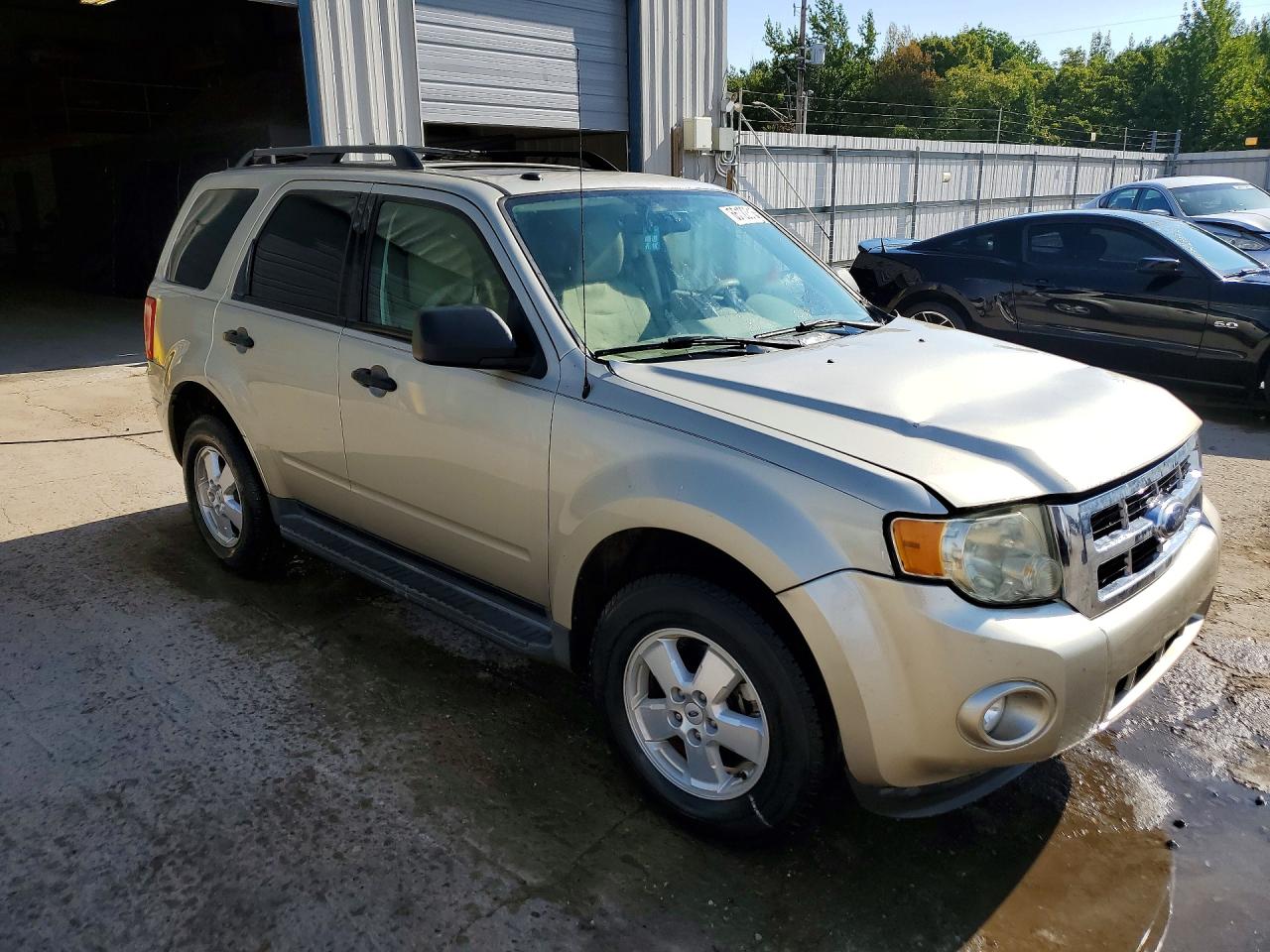 2010 Ford Escape Xlt Tan vin: 1FMCU0D78AKA44547