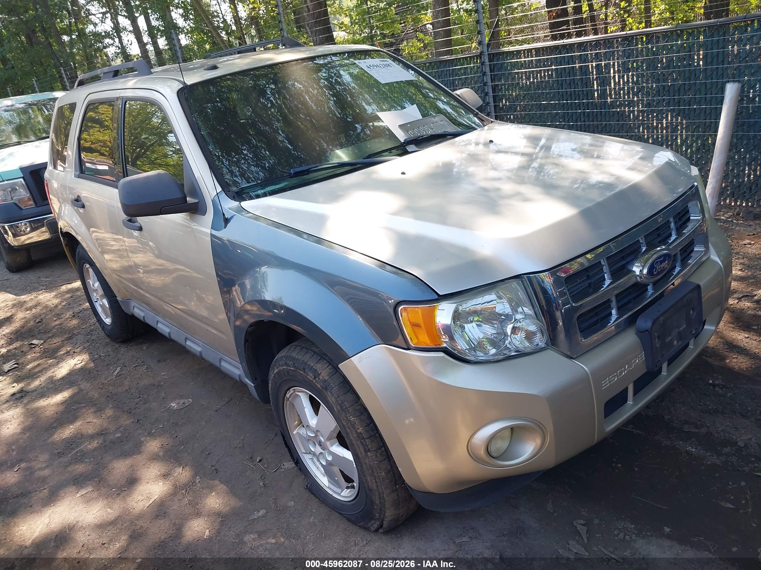 2011 Ford Escape Xlt Champagne vin: 1FMCU0D78BKA27538
