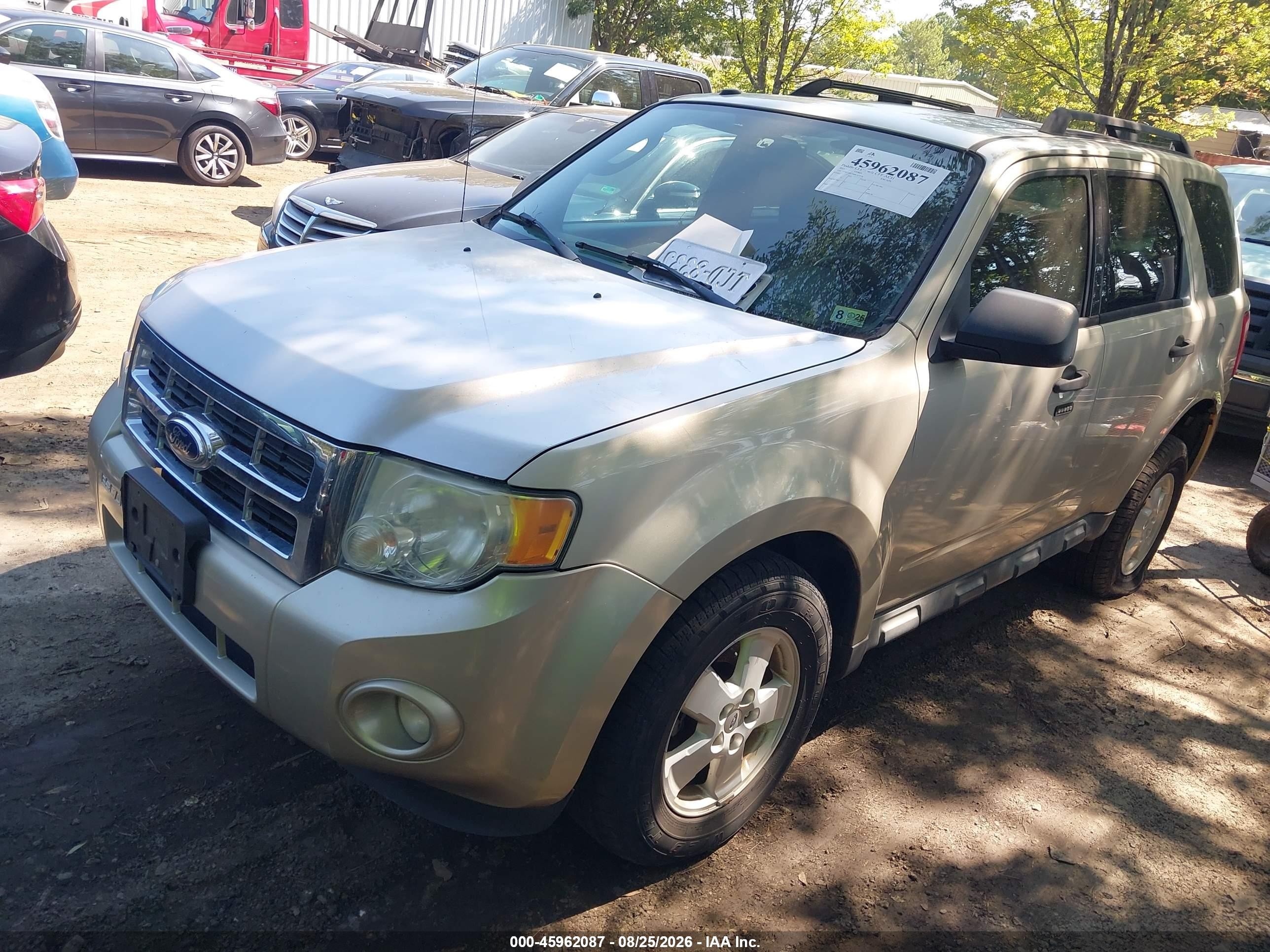 2011 Ford Escape Xlt Champagne vin: 1FMCU0D78BKA27538