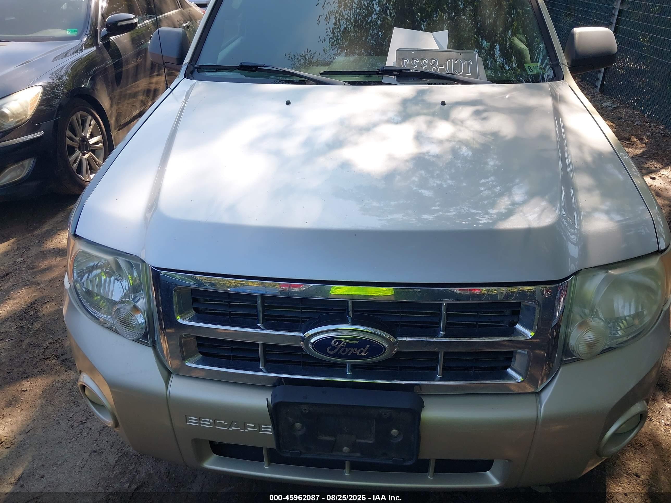 2011 Ford Escape Xlt Champagne vin: 1FMCU0D78BKA27538