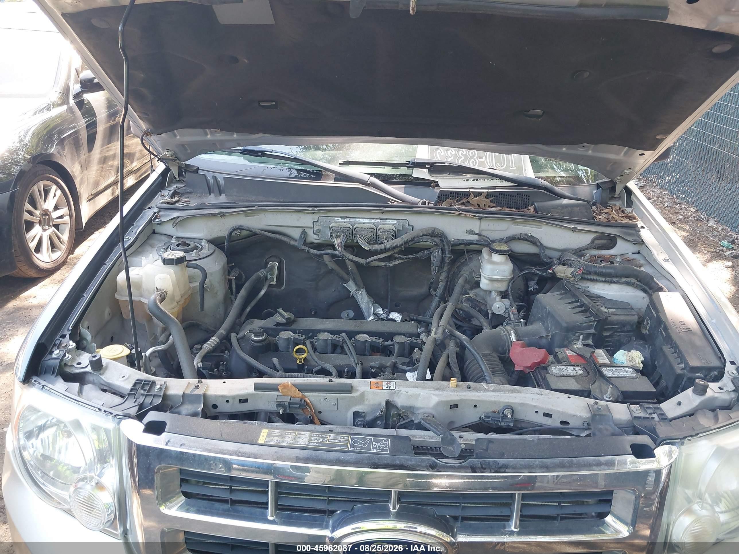2011 Ford Escape Xlt Champagne vin: 1FMCU0D78BKA27538