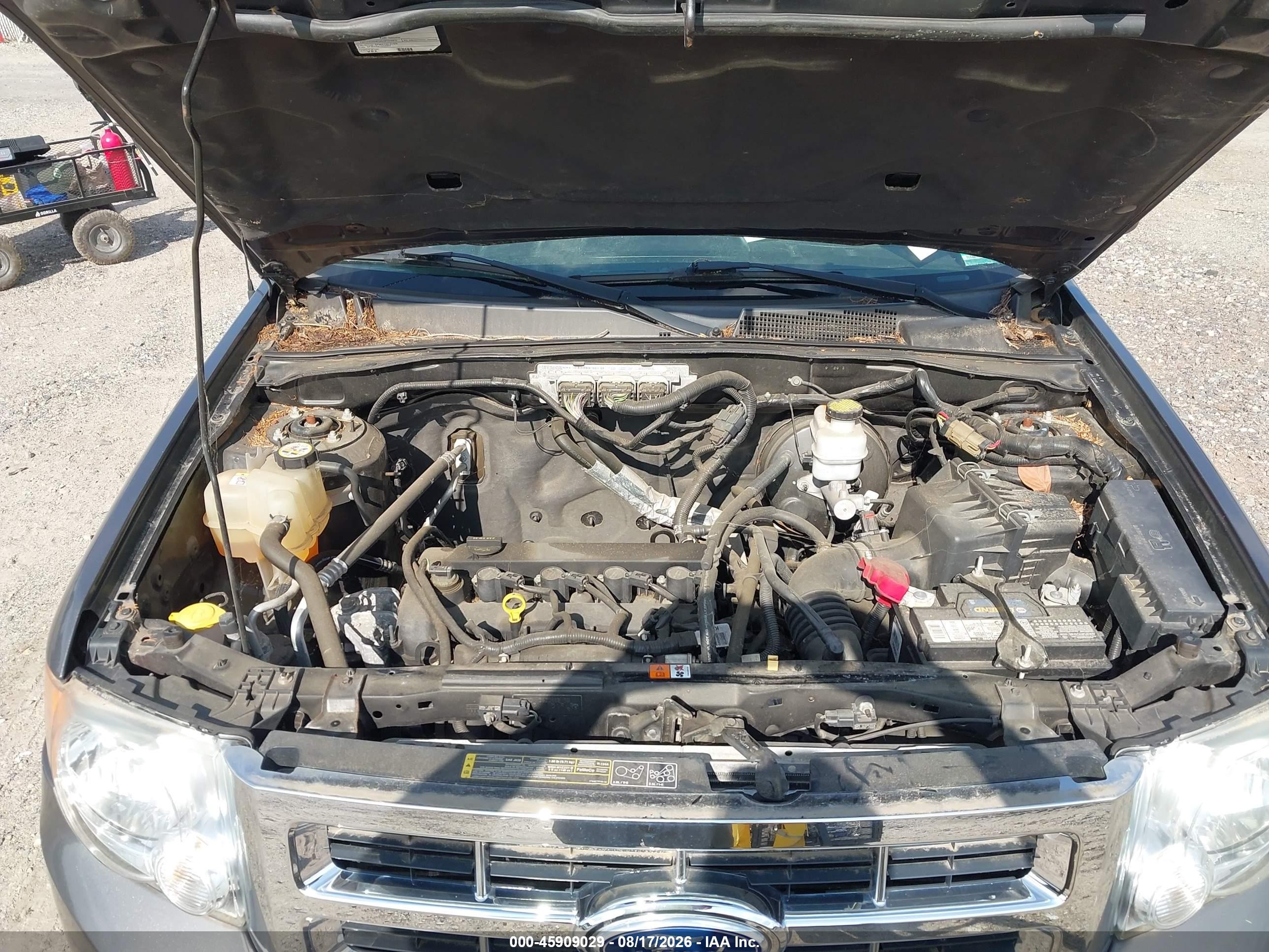 2011 Ford Escape Xlt Gray vin: 1FMCU0D78BKA65772