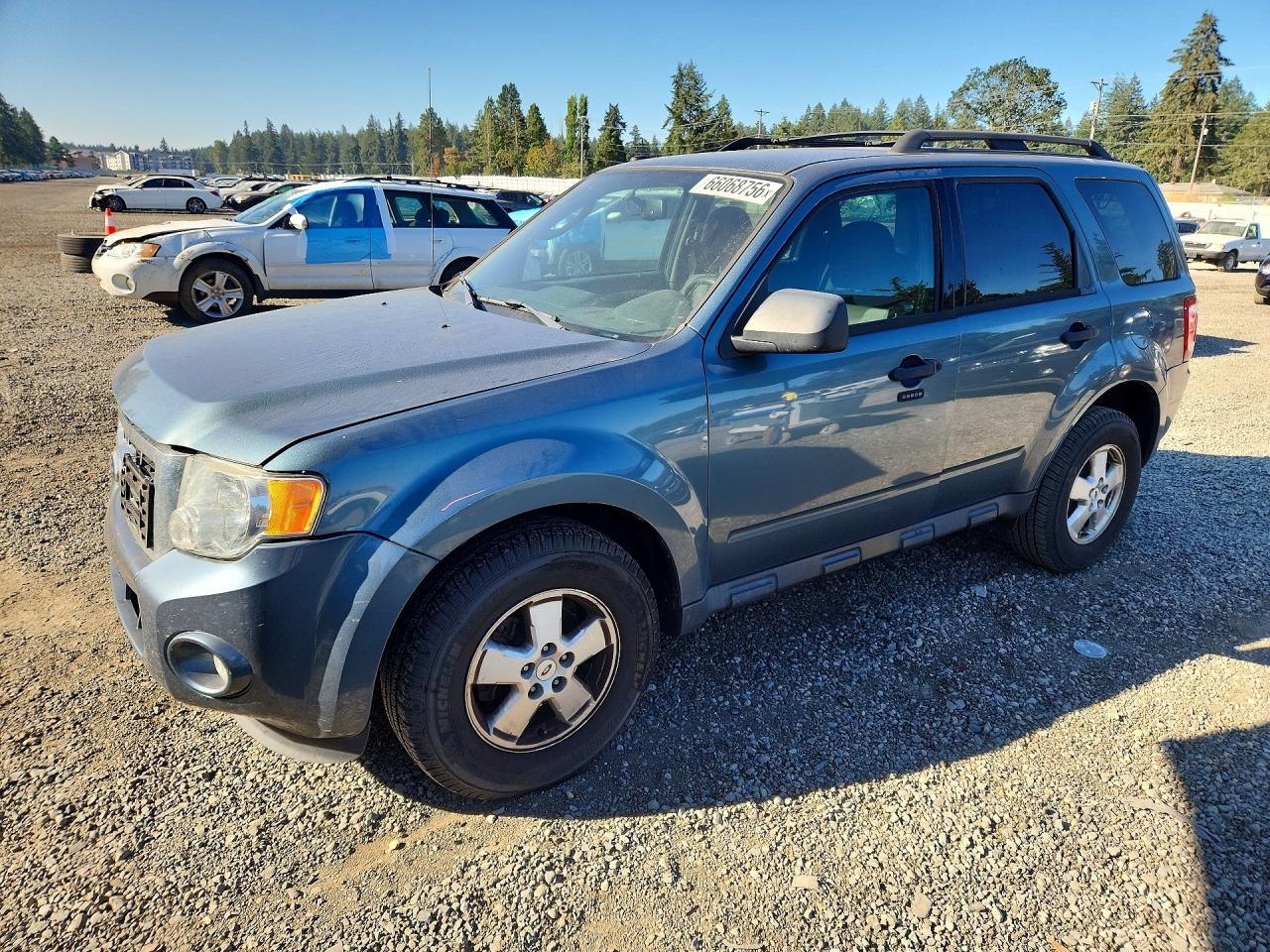 2011 Ford Escape Xlt Teal vin: 1FMCU0D78BKB71574