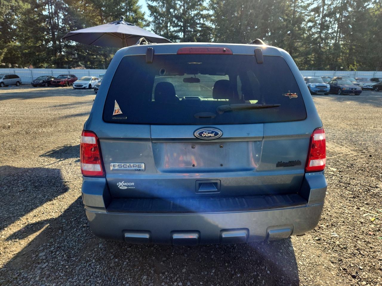 2011 Ford Escape Xlt Teal vin: 1FMCU0D78BKB71574