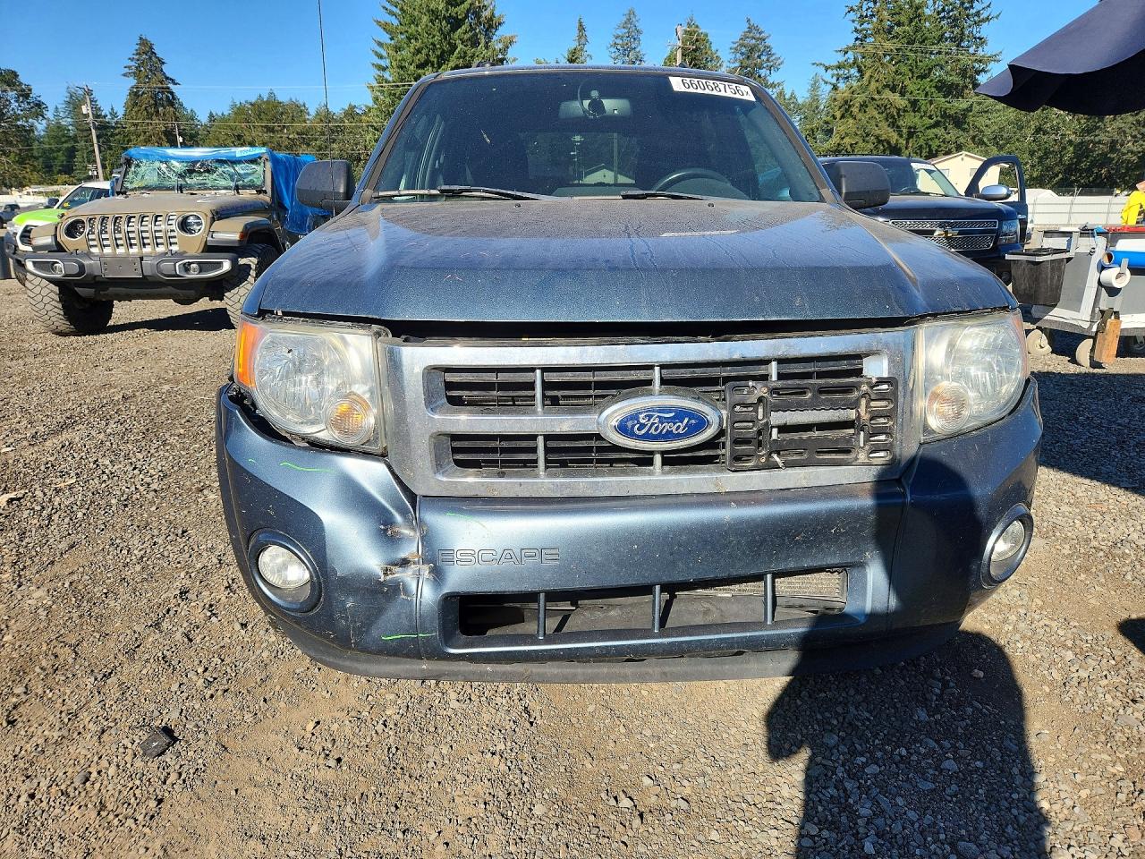 2011 Ford Escape Xlt Teal vin: 1FMCU0D78BKB71574