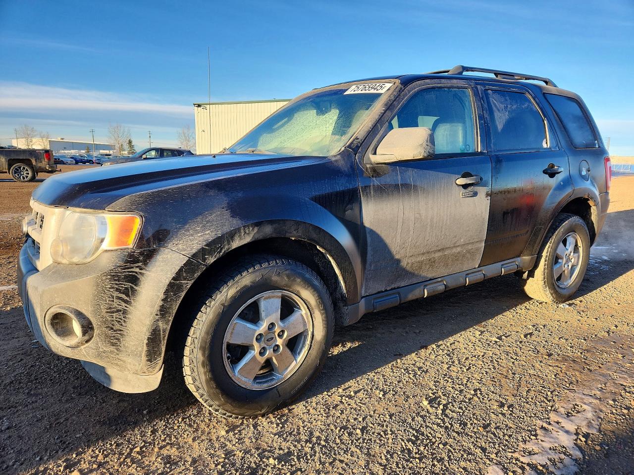 2011 Ford Escape Xlt Black vin: 1FMCU0D78BKC14889