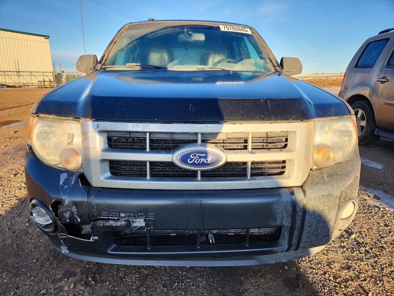 2011 Ford Escape Xlt Black vin: 1FMCU0D78BKC14889