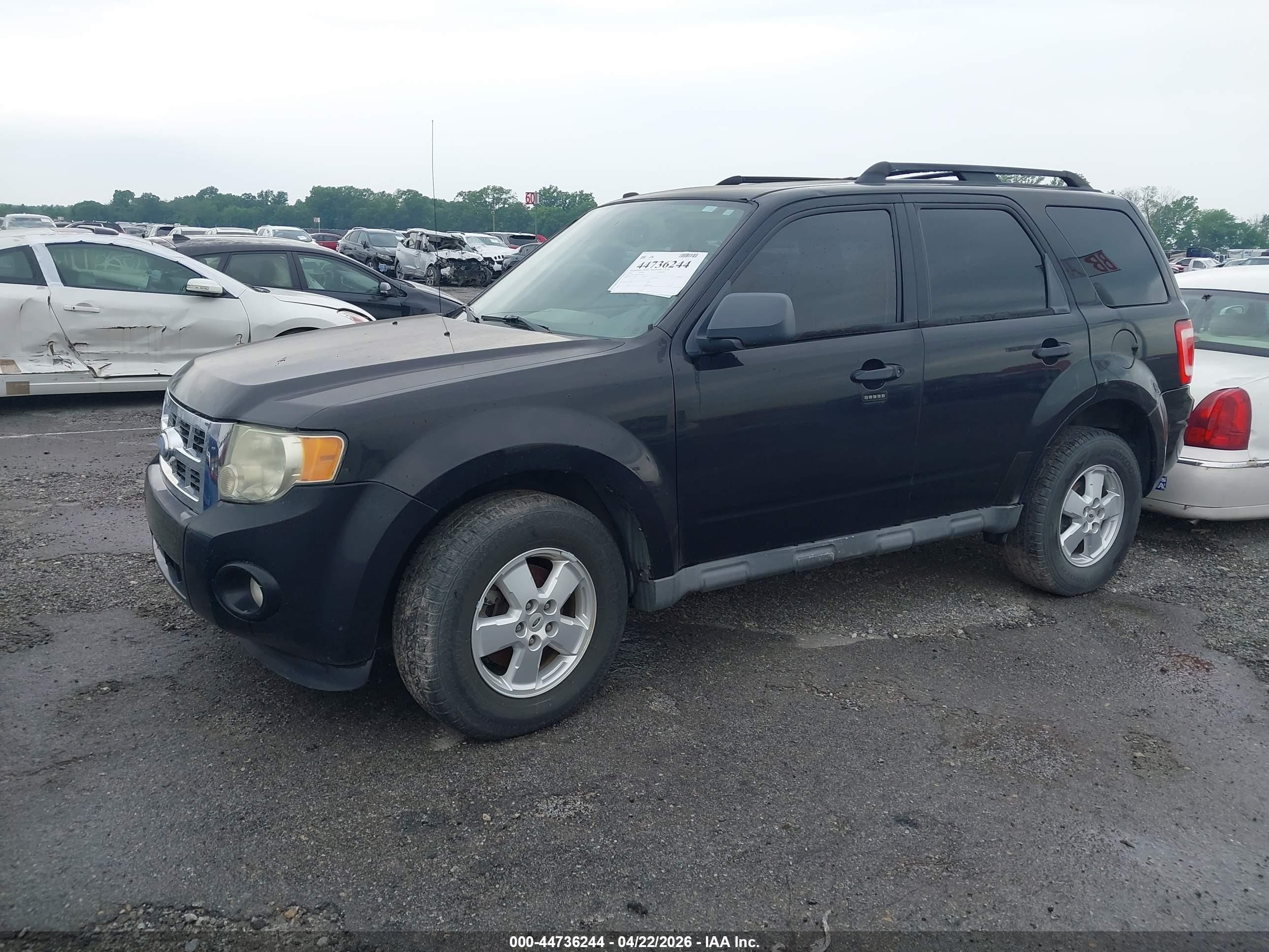 2010 Ford Escape Xlt Black vin: 1FMCU0D79AKC61069