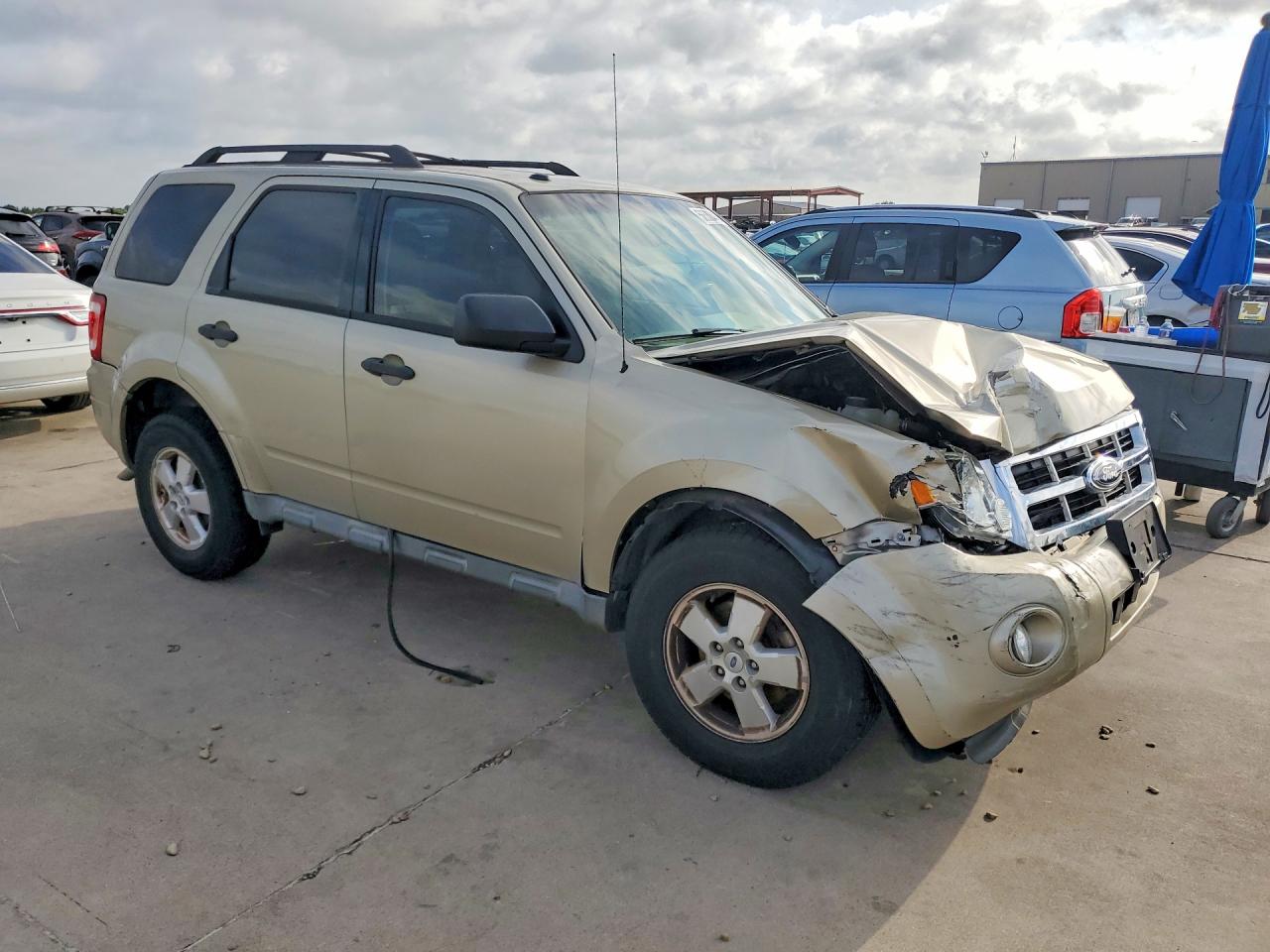 2011 Ford Escape Xlt Tan vin: 1FMCU0D79BKB64908