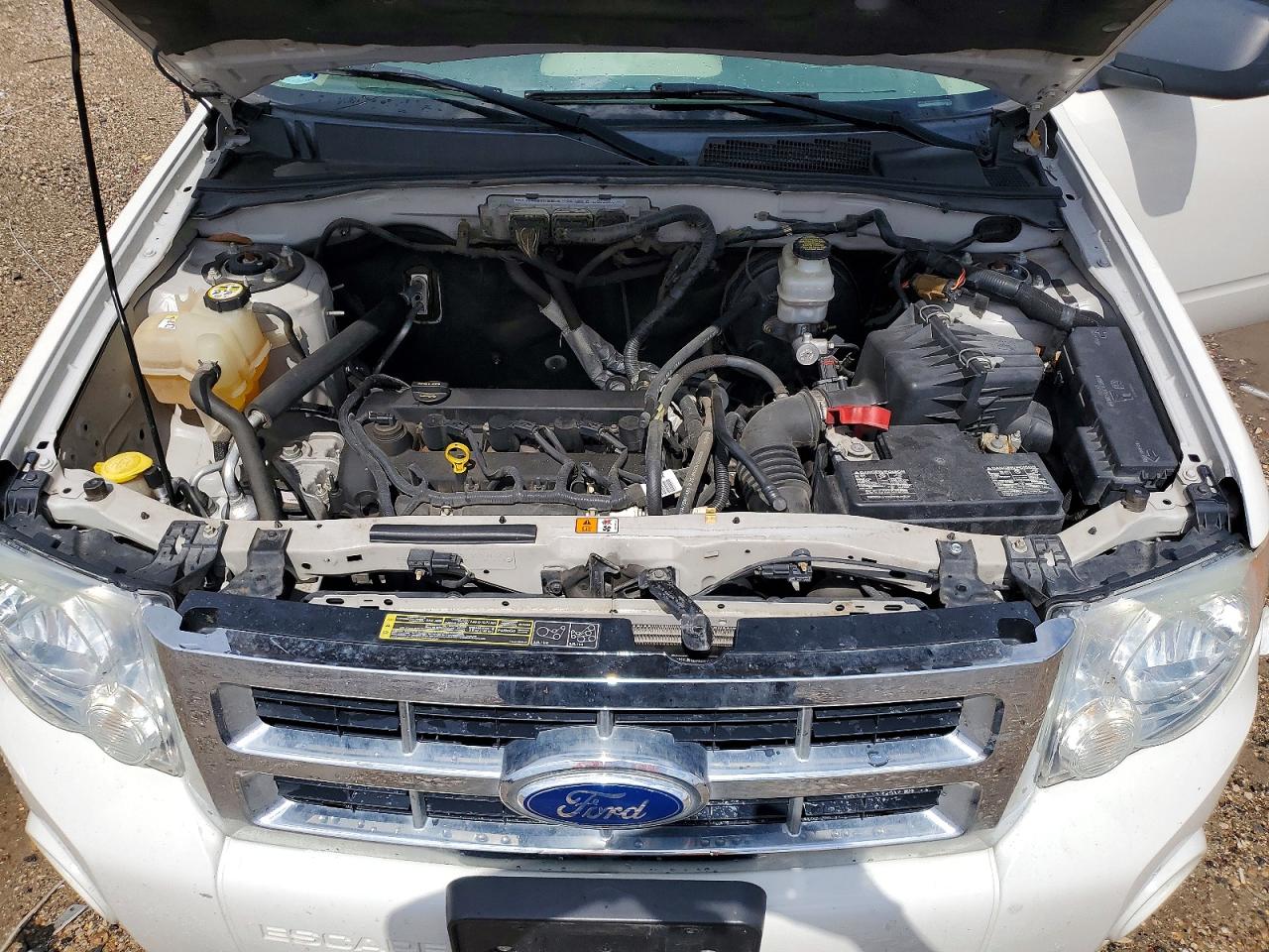 2010 Ford Escape Xlt White vin: 1FMCU0D7XAKB78752