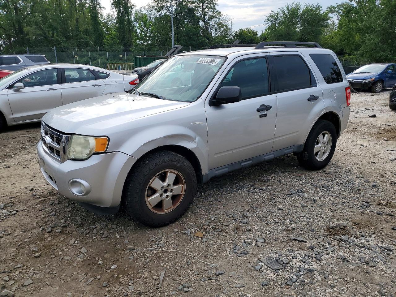 2011 Ford Escape Xlt Silver vin: 1FMCU0D7XBKB36454