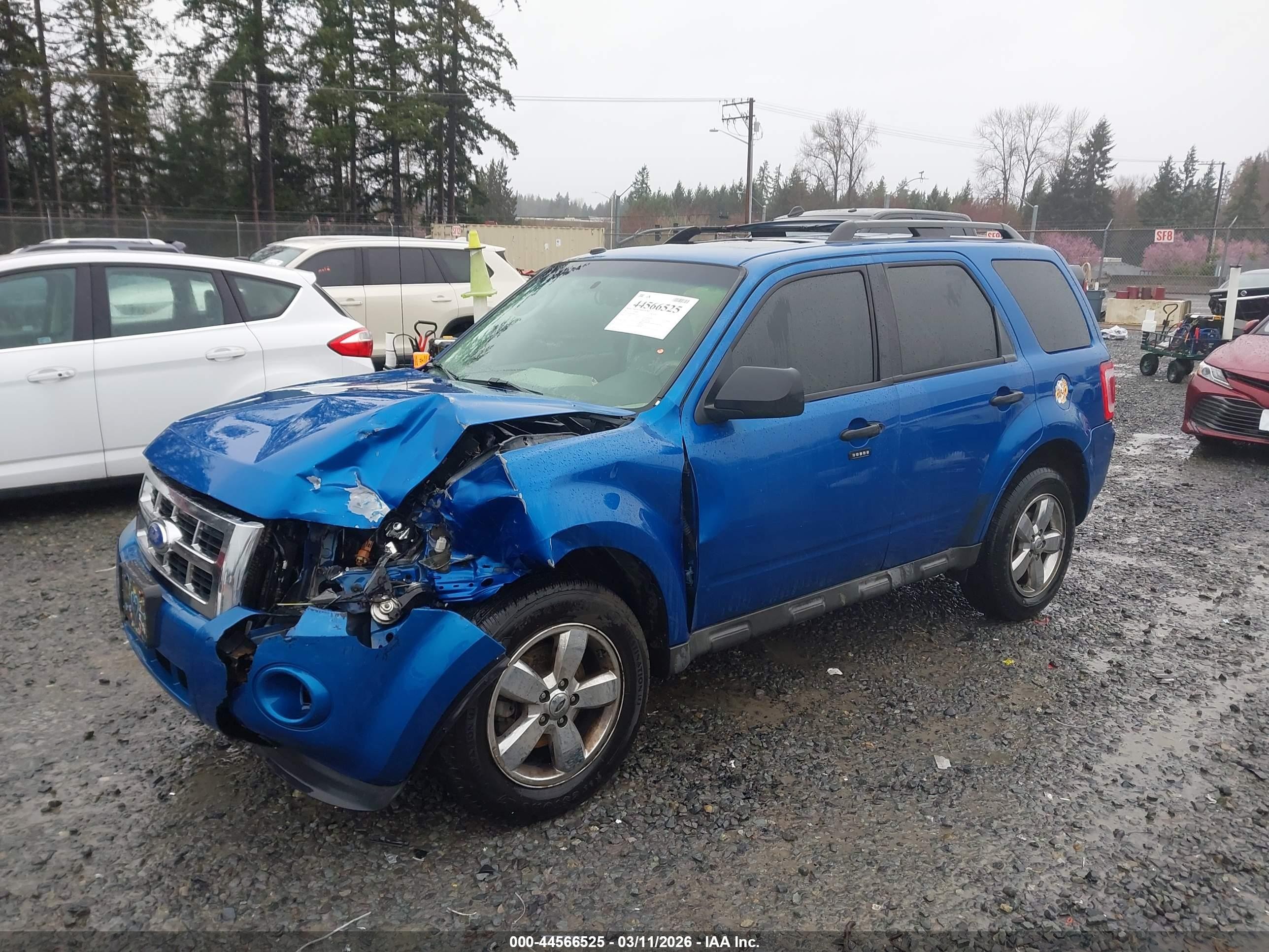 2011 Ford Escape Xlt Blue vin: 1FMCU0D7XBKC01772