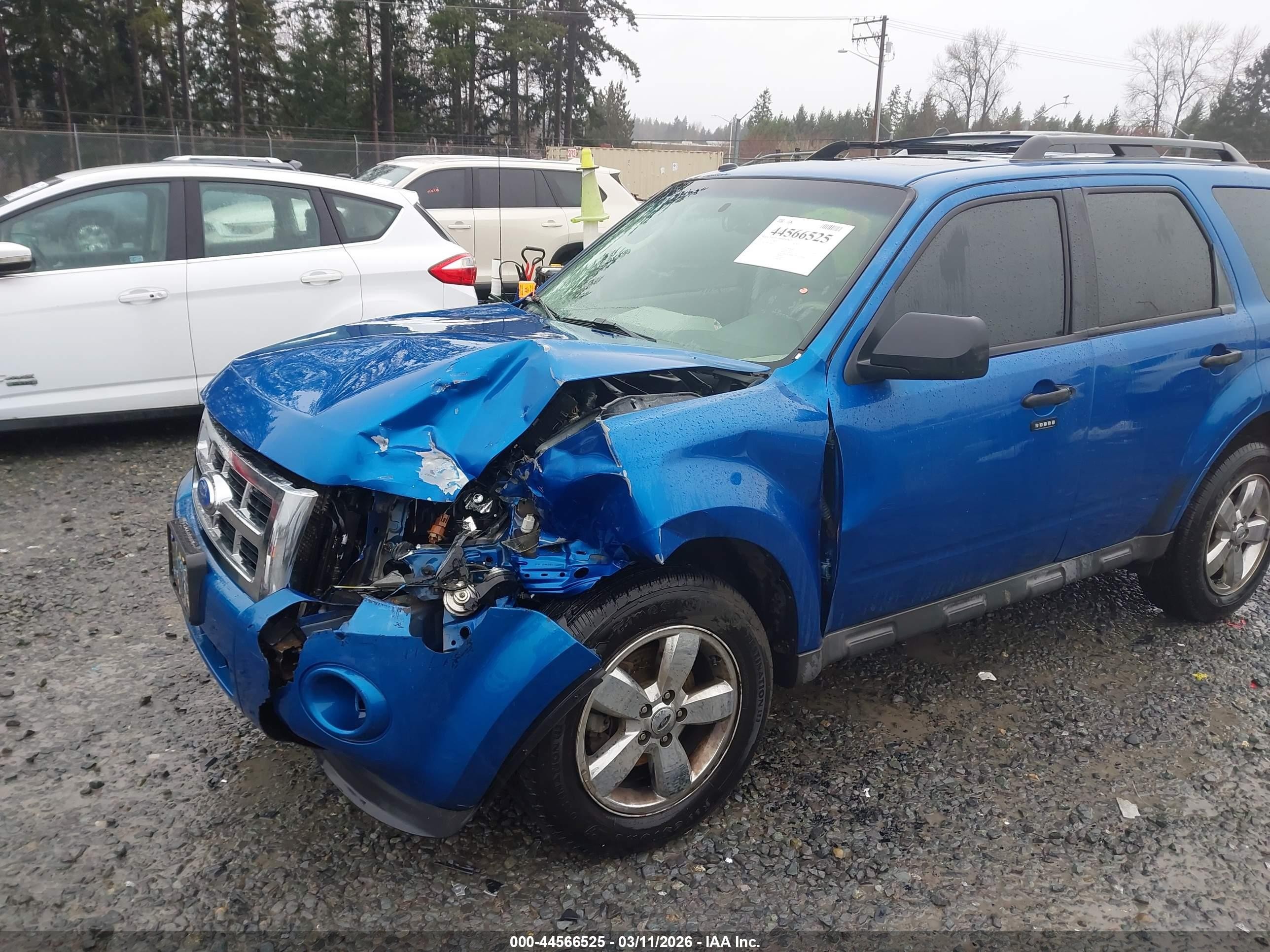 2011 Ford Escape Xlt Blue vin: 1FMCU0D7XBKC01772