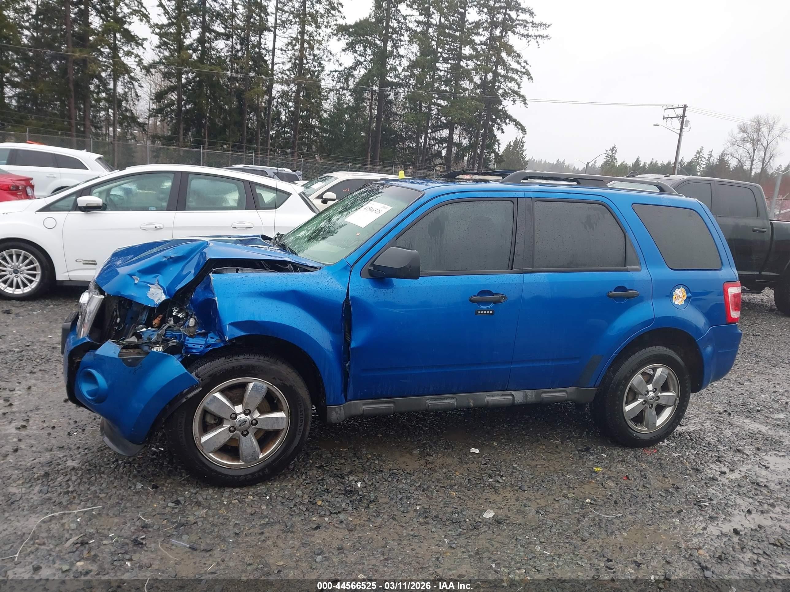 2011 Ford Escape Xlt Blue vin: 1FMCU0D7XBKC01772