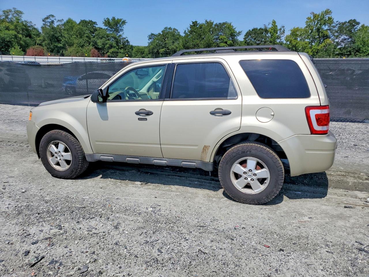 2011 Ford Escape Xlt Beige vin: 1FMCU0D7XBKC40474