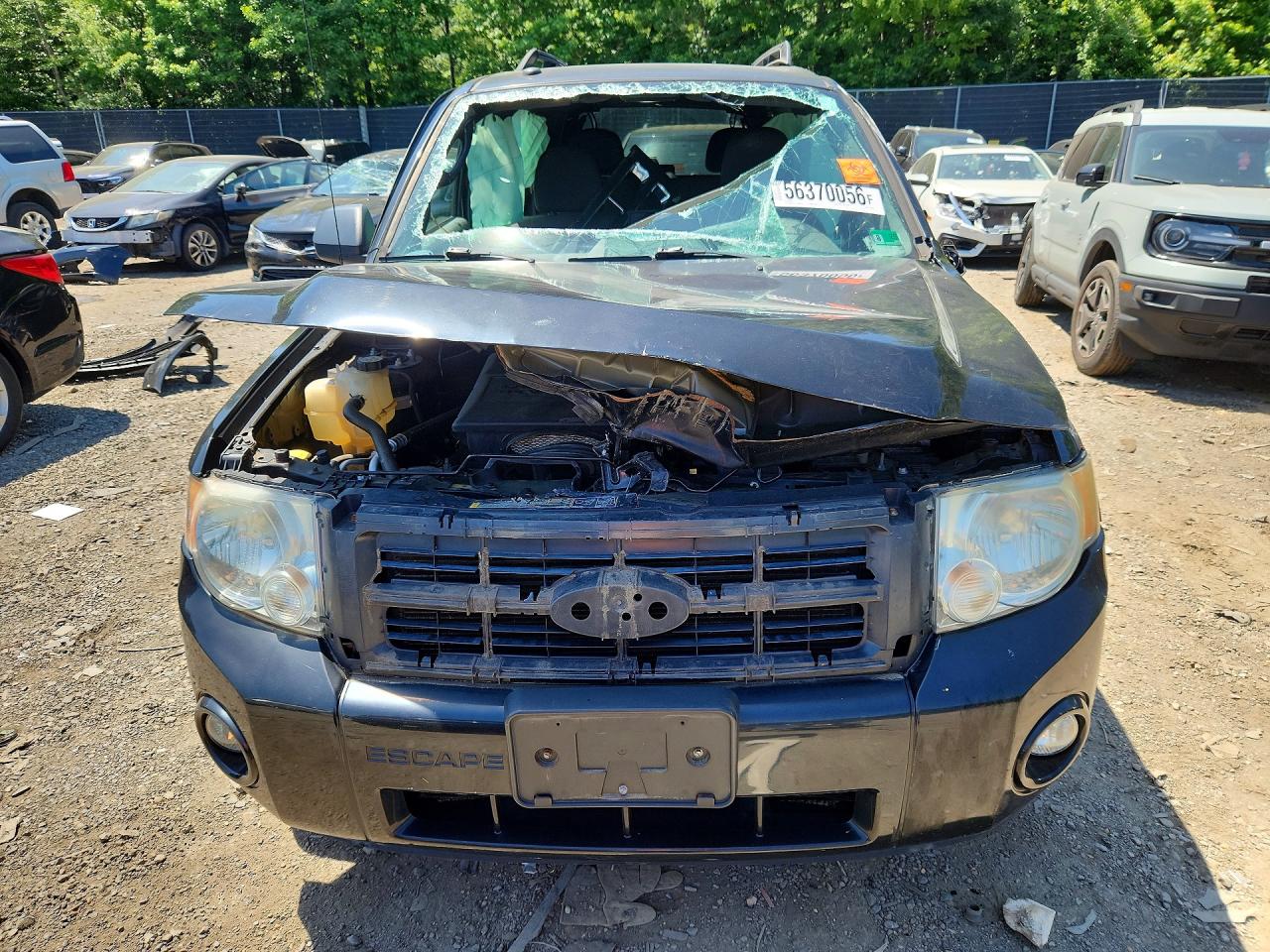 2011 Ford Escape Xlt Black vin: 1FMCU0DG0BKA66009