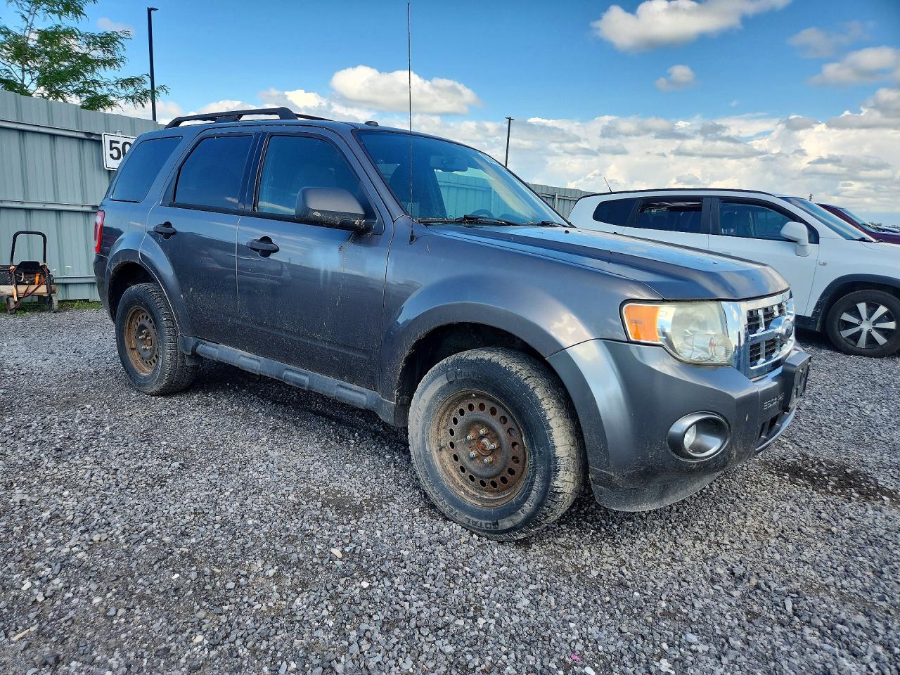 2010 Ford Escape Xlt Gray vin: 1FMCU0DG1AKC69733