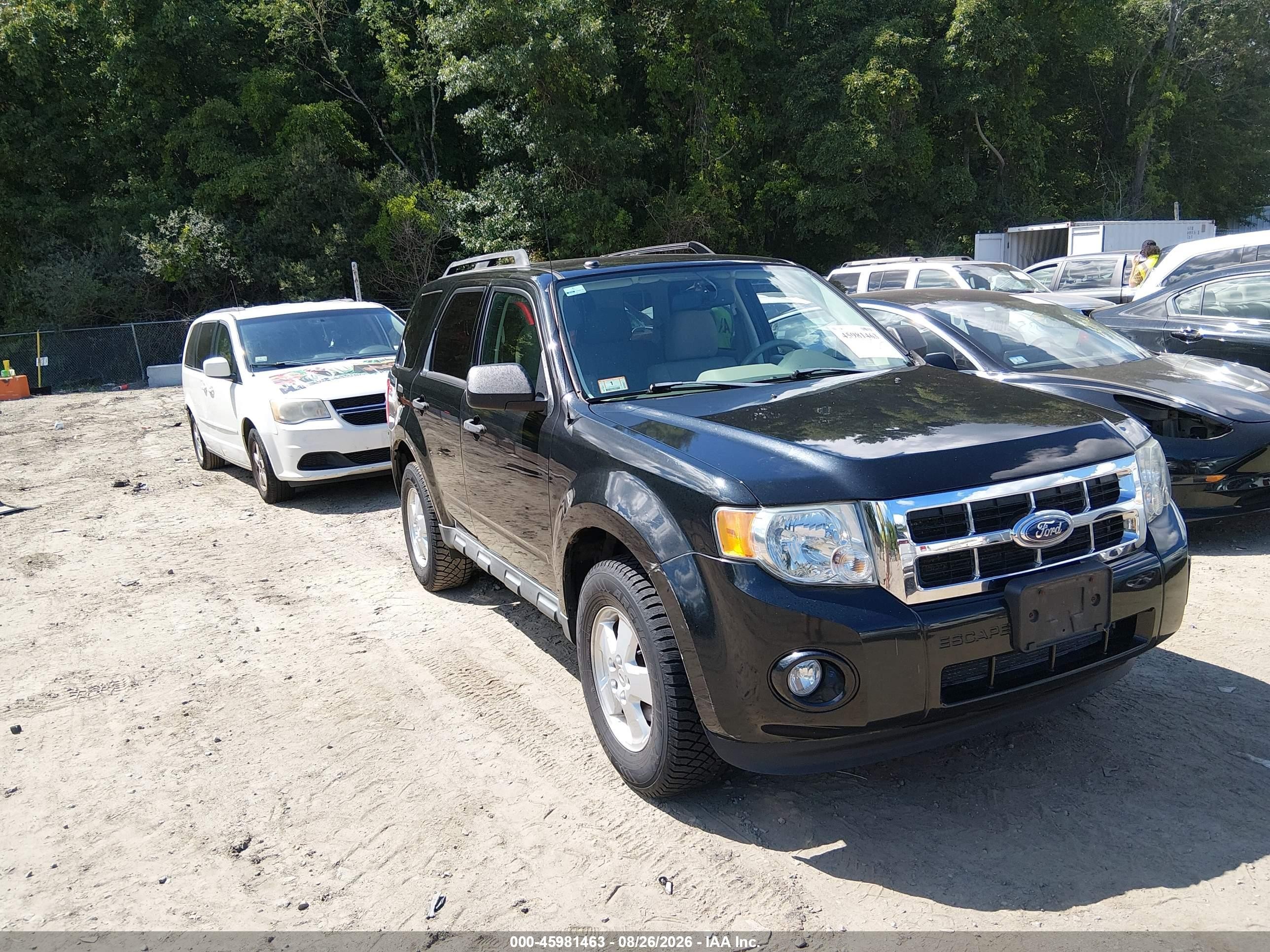 2011 Ford Escape Xlt Black vin: 1FMCU0DG2BKC42185