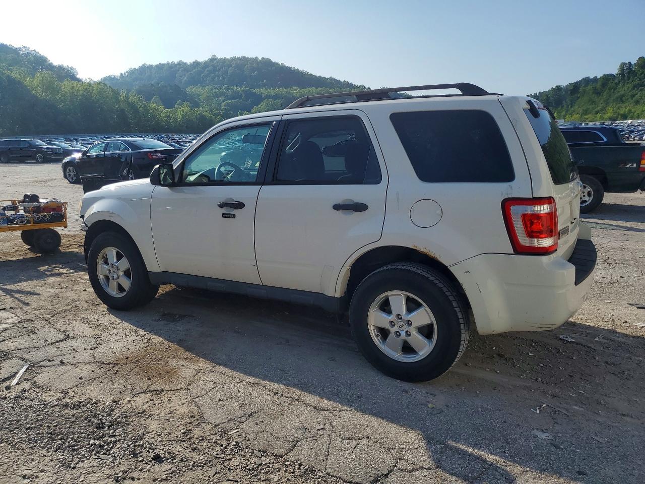 2012 Ford Escape Xlt White vin: 1FMCU0DG2CKB29175
