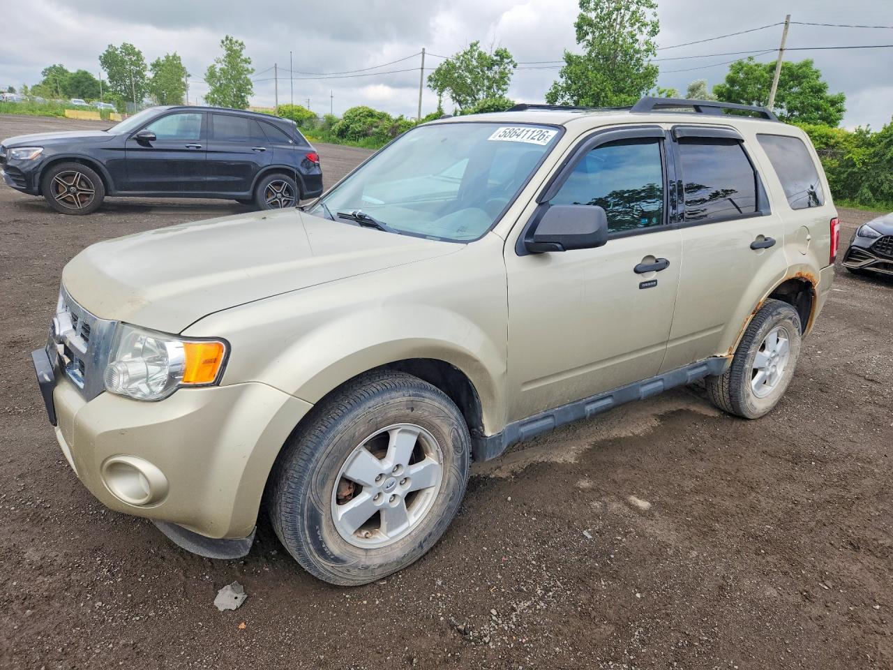 2012 Ford Escape Xlt Золотой vin: 1FMCU0DG2CKC71087