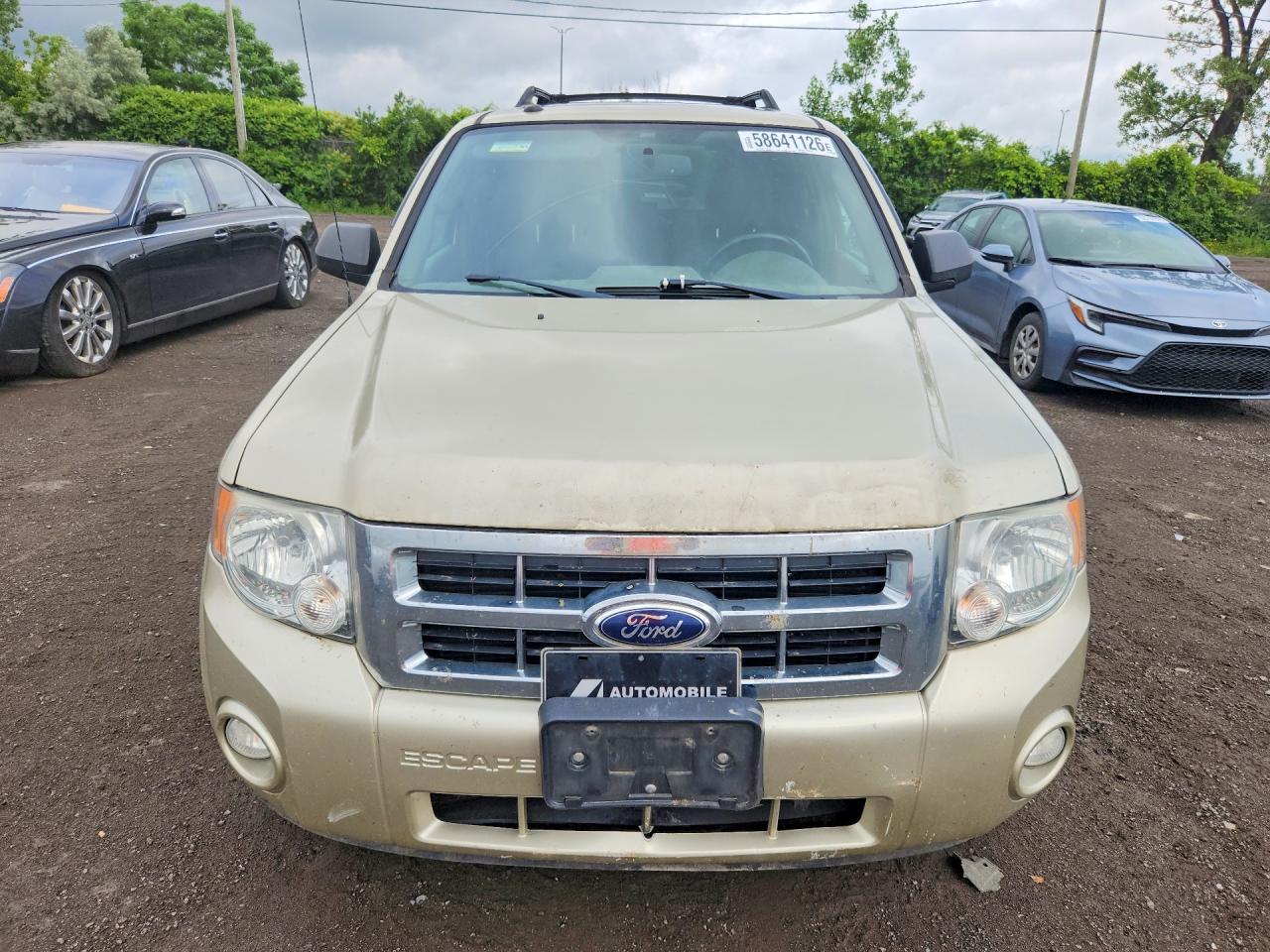 2012 Ford Escape Xlt Золотой vin: 1FMCU0DG2CKC71087