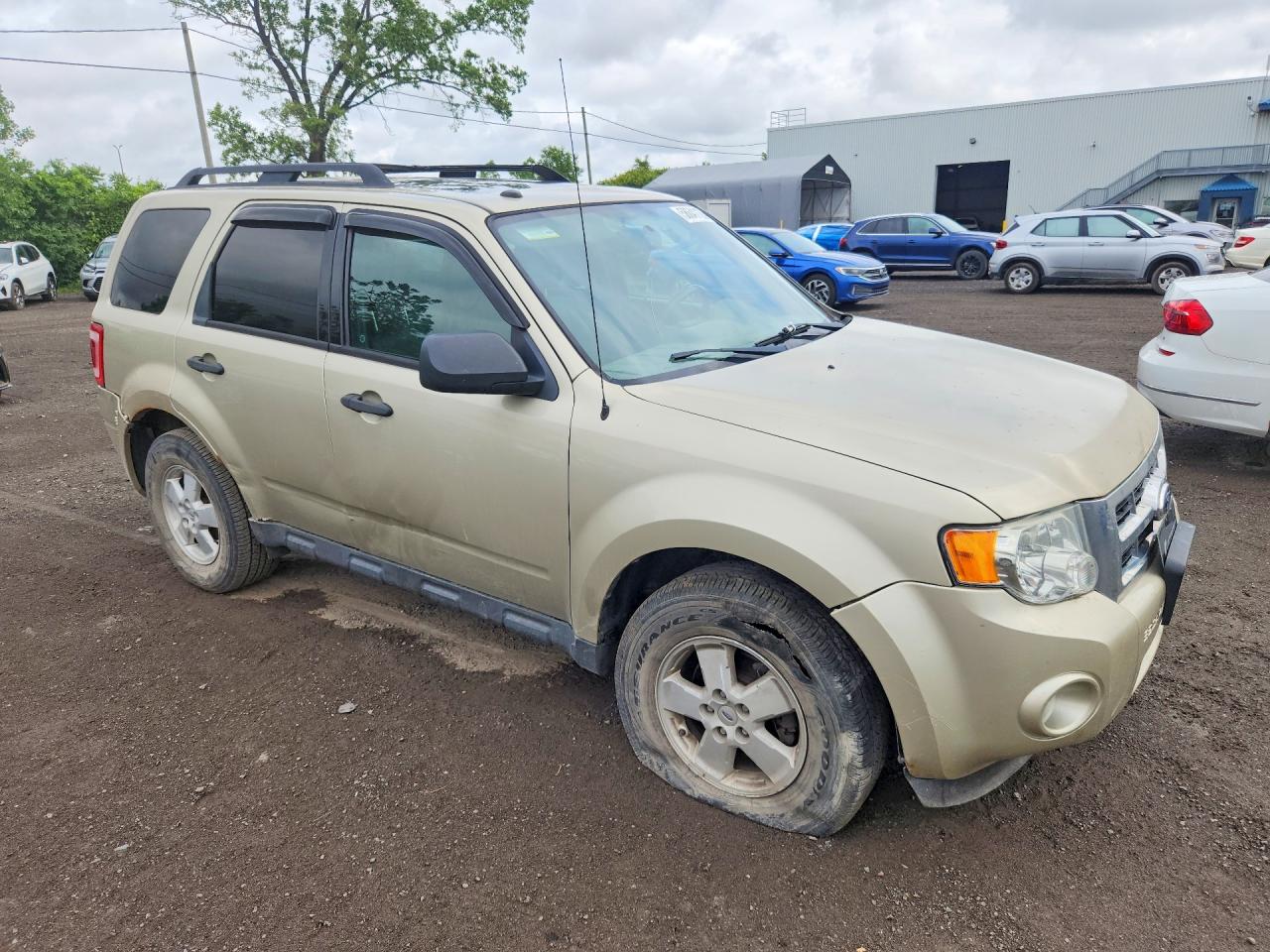 2012 Ford Escape Xlt Золотой vin: 1FMCU0DG2CKC71087