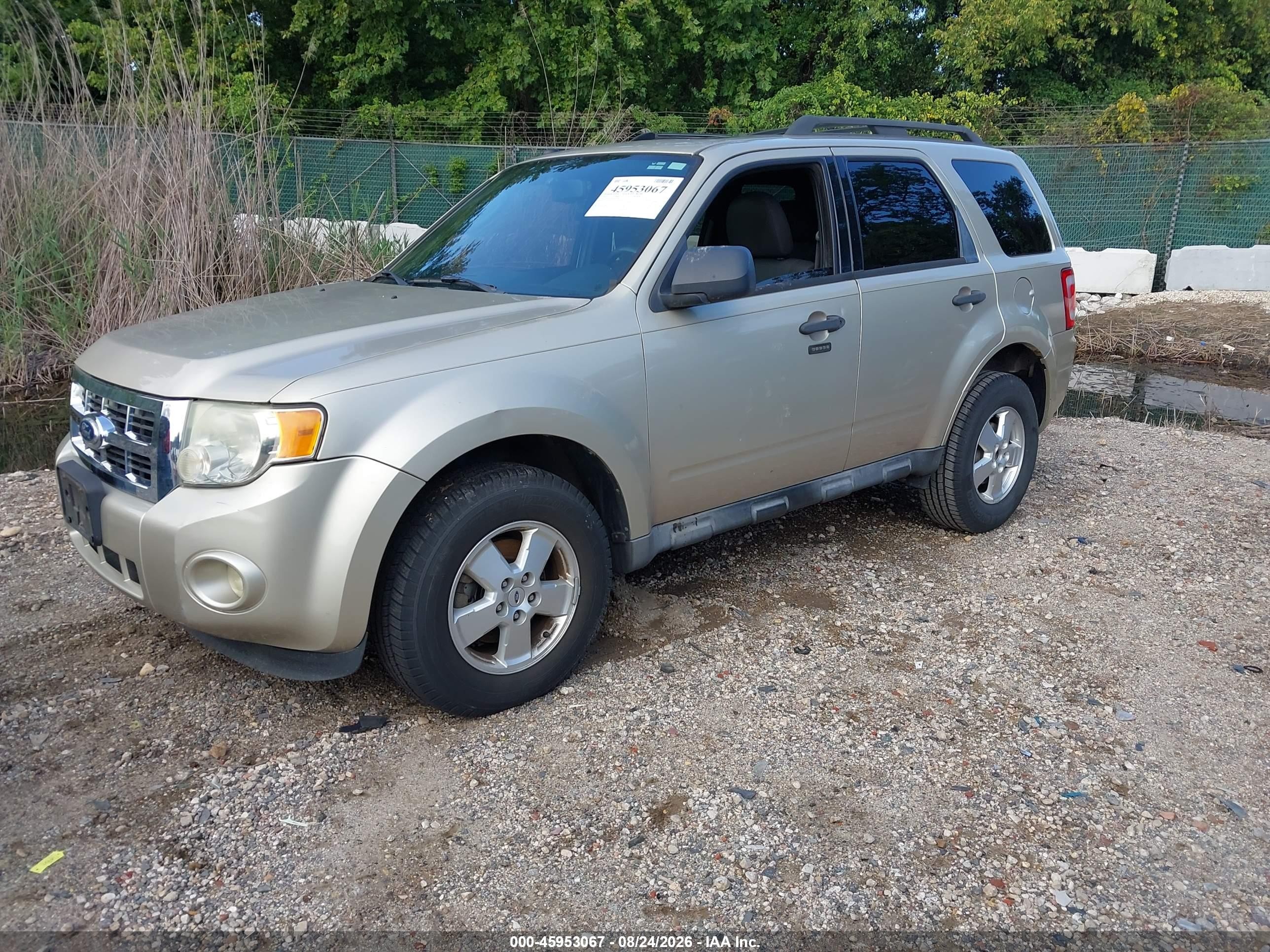 2011 Ford Escape Xlt Золотой vin: 1FMCU0DG3BKA19881