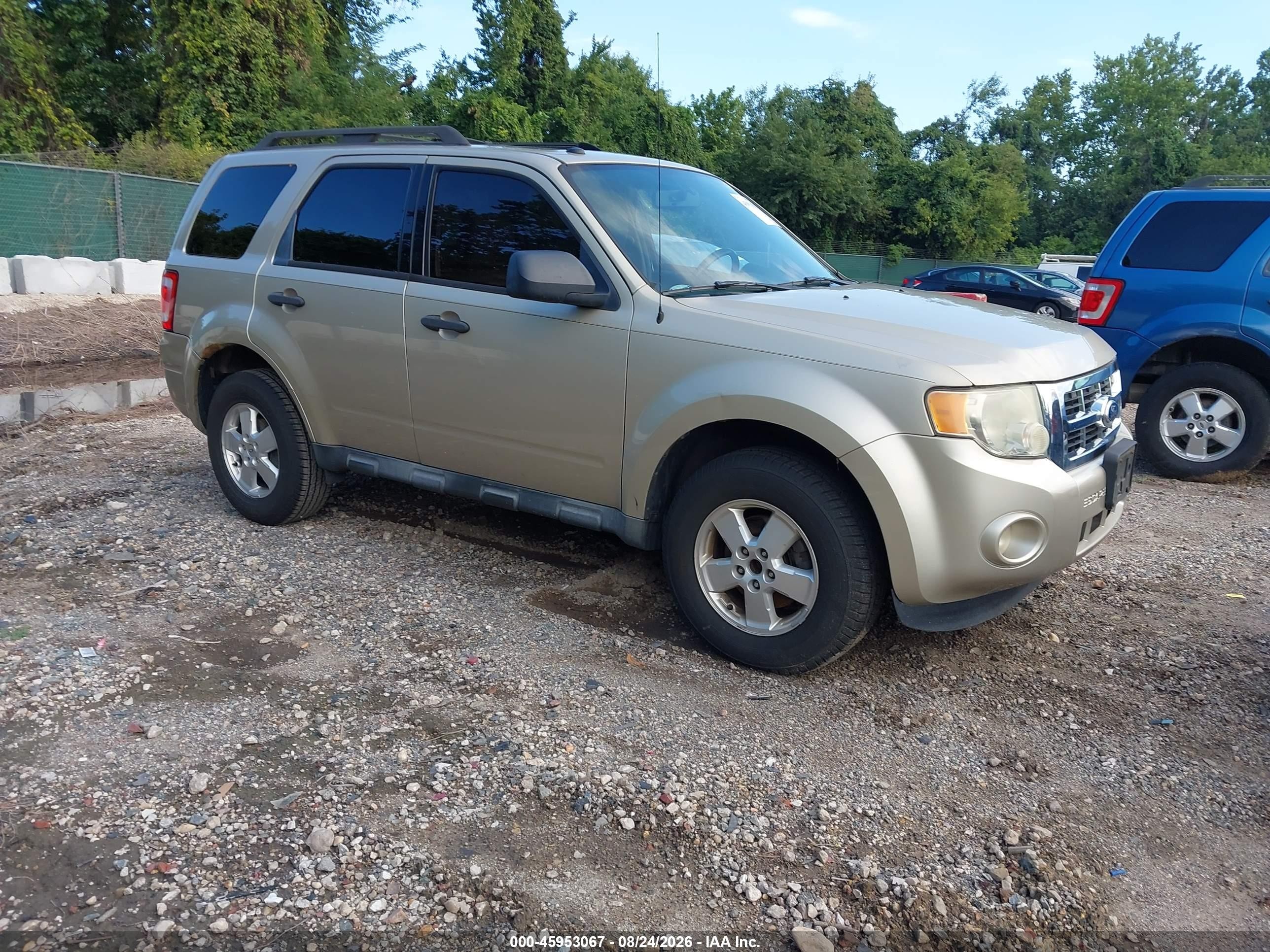 2011 Ford Escape Xlt Gold vin: 1FMCU0DG3BKA19881