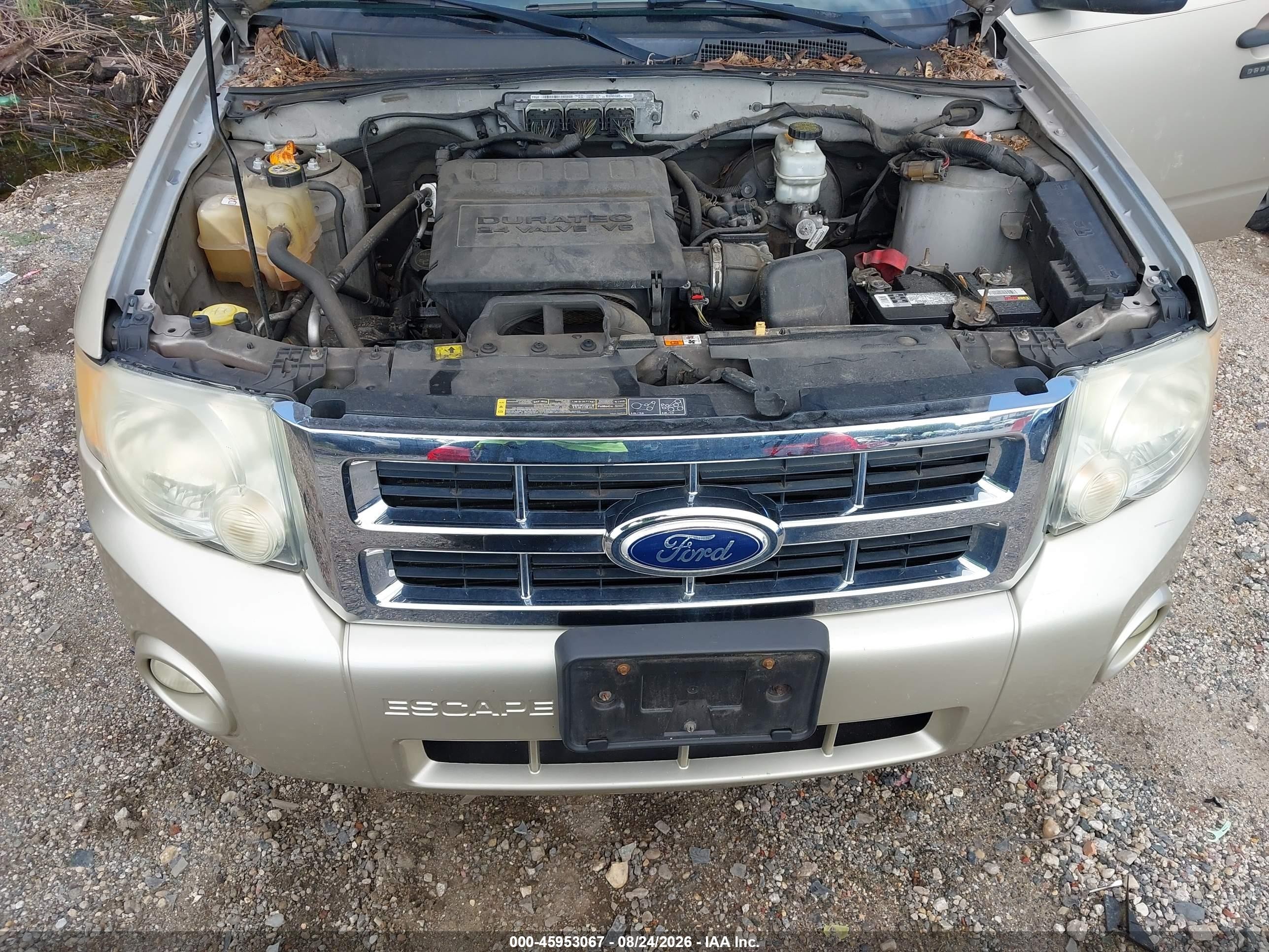 2011 Ford Escape Xlt Золотой vin: 1FMCU0DG3BKA19881