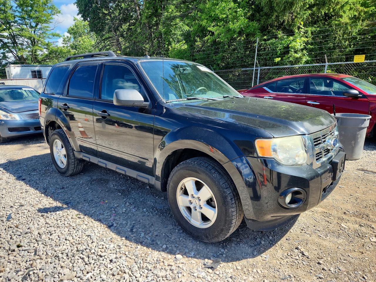 2011 Ford Escape Xlt Black vin: 1FMCU0DG3BKA79899