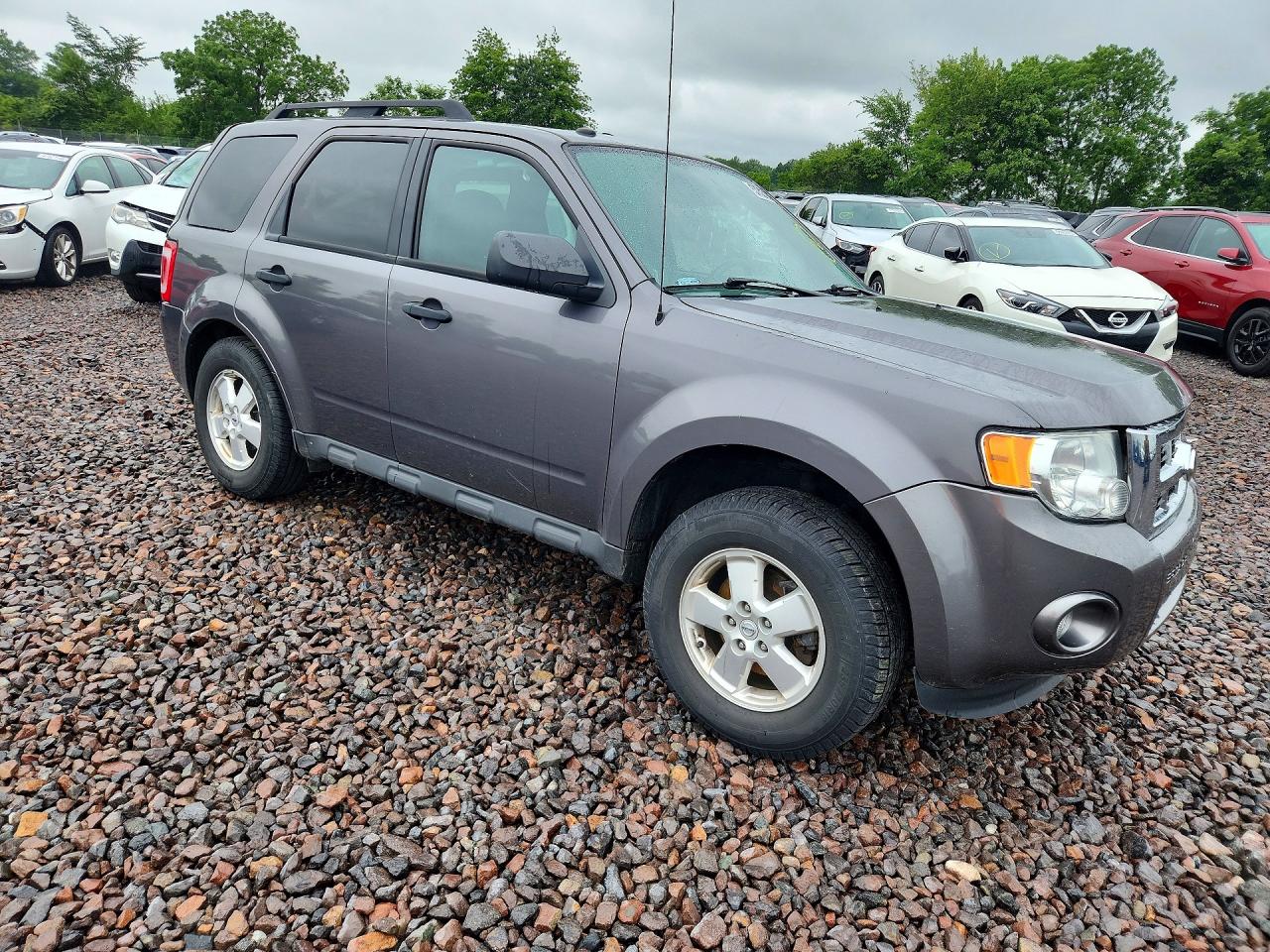 2011 Ford Escape Xlt Gray vin: 1FMCU0DG3BKB22282