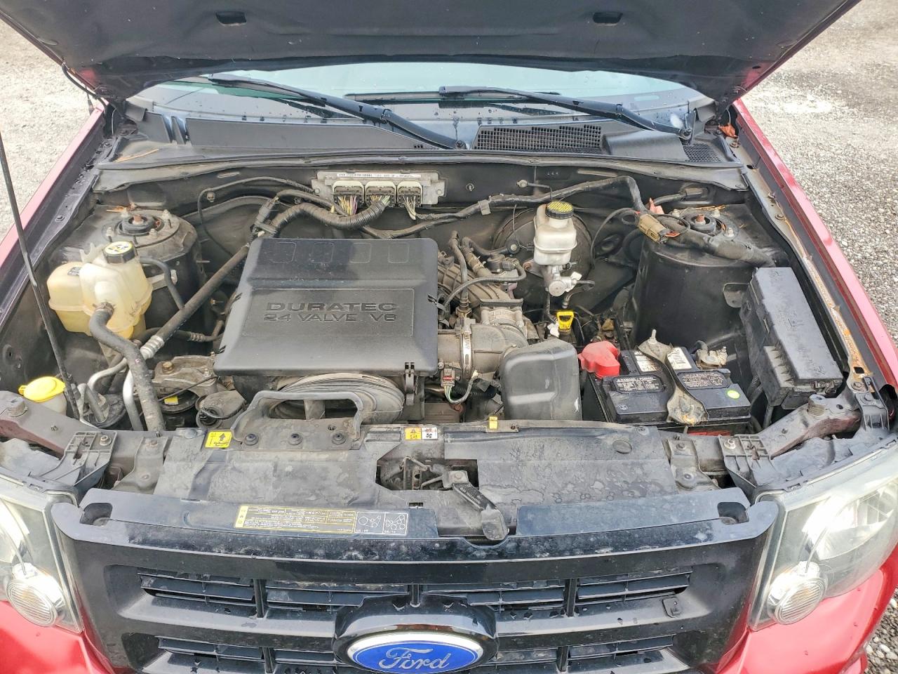 2012 Ford Escape Xlt Красный vin: 1FMCU0DG4CKB73260