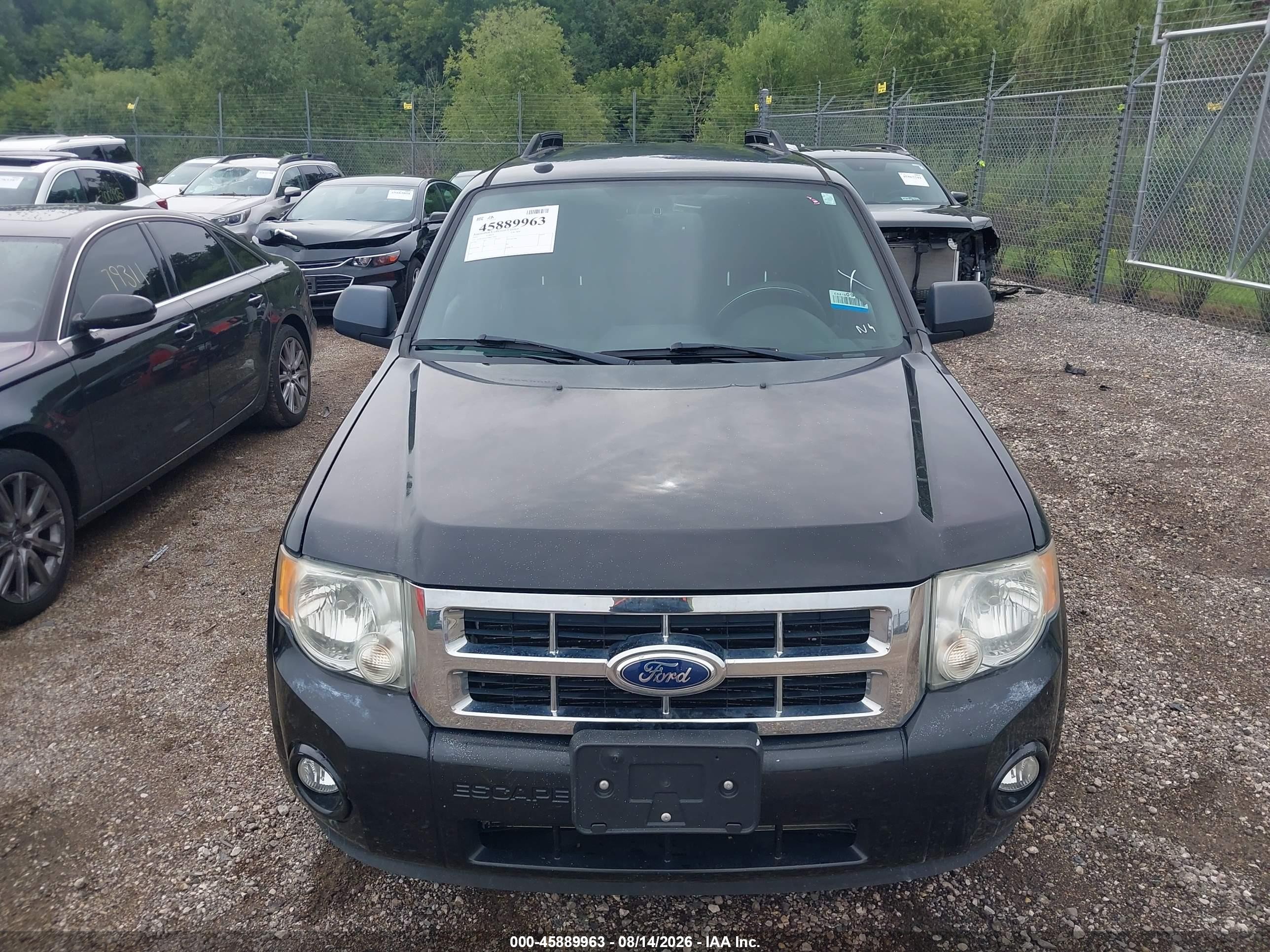 2011 Ford Escape Xlt Black vin: 1FMCU0DG5BKB30089