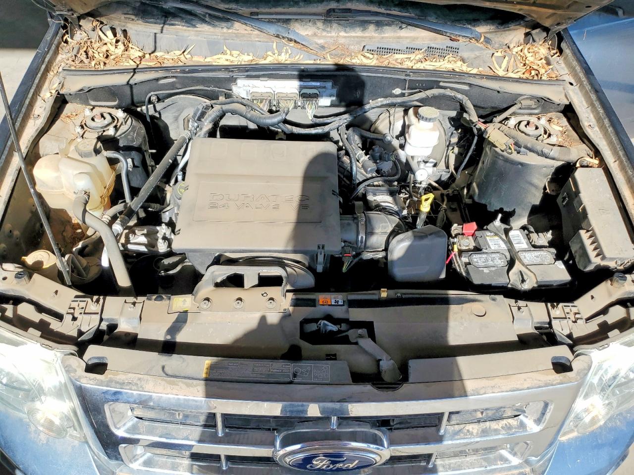 2011 Ford Escape Xlt Blue vin: 1FMCU0DG5BKC40950