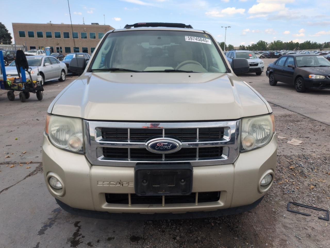 2010 Ford Escape Xlt Tan vin: 1FMCU0DG6AKD27352