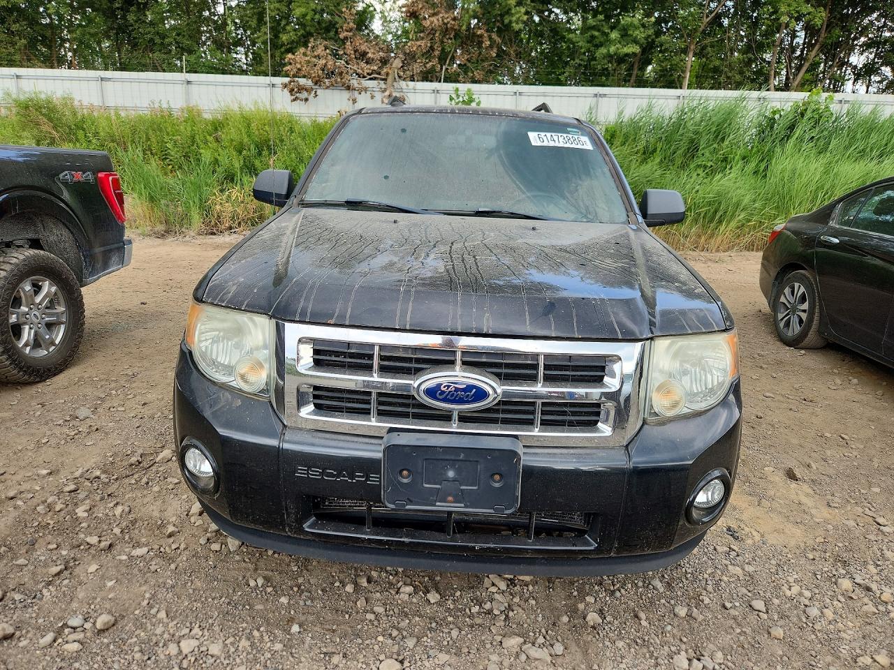 2011 Ford Escape Xlt Black vin: 1FMCU0DG7BKB27176