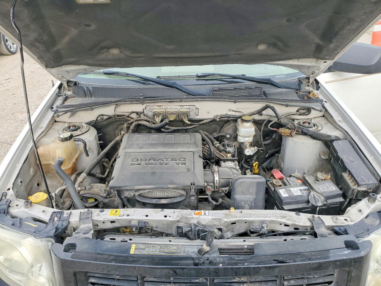 2010 Ford Escape Xlt Белый vin: 1FMCU0DG8AKA15159