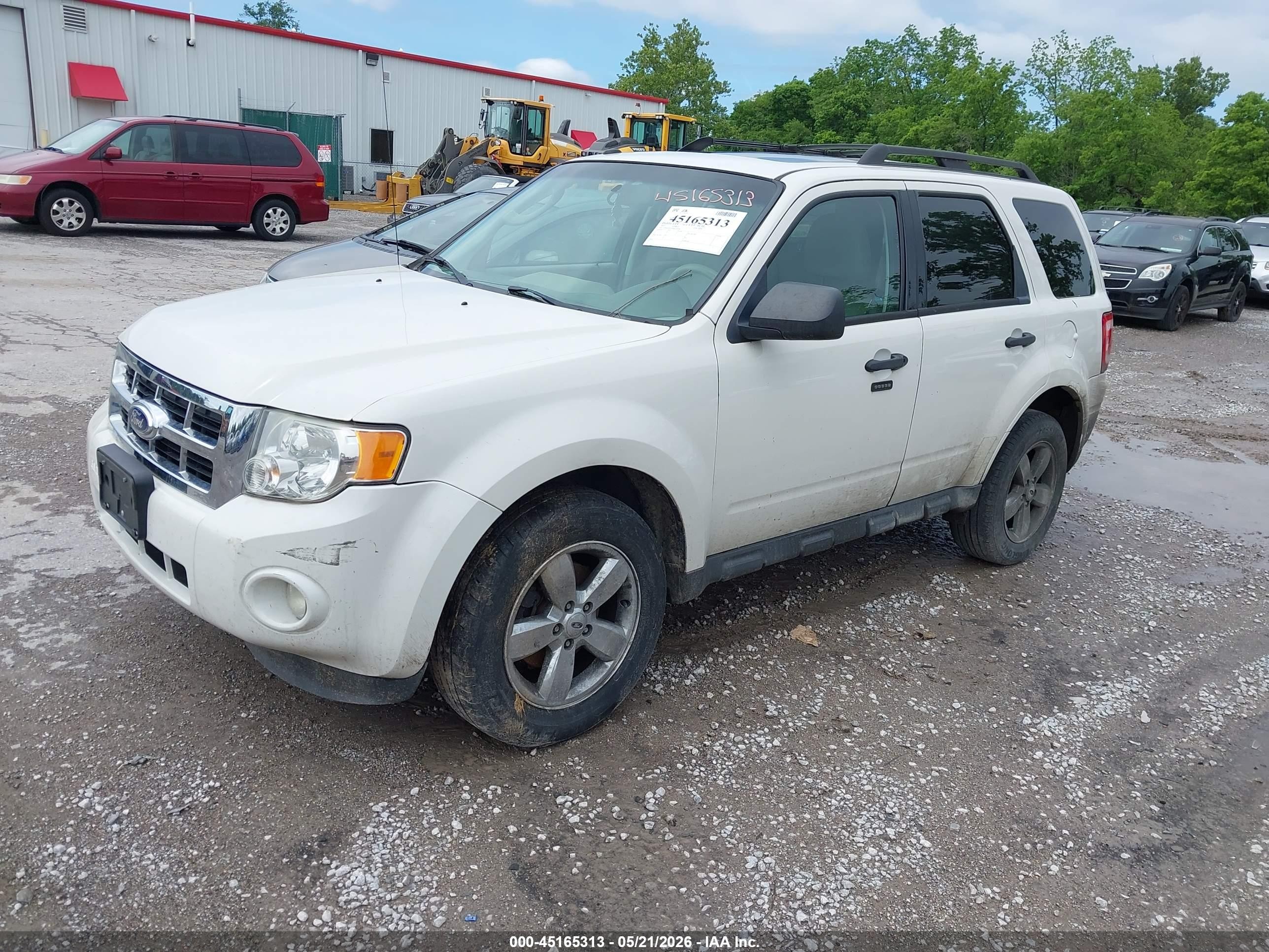 2011 Ford Escape Xlt Automatic Белый vin: 1FMCU0DG8BKA29760