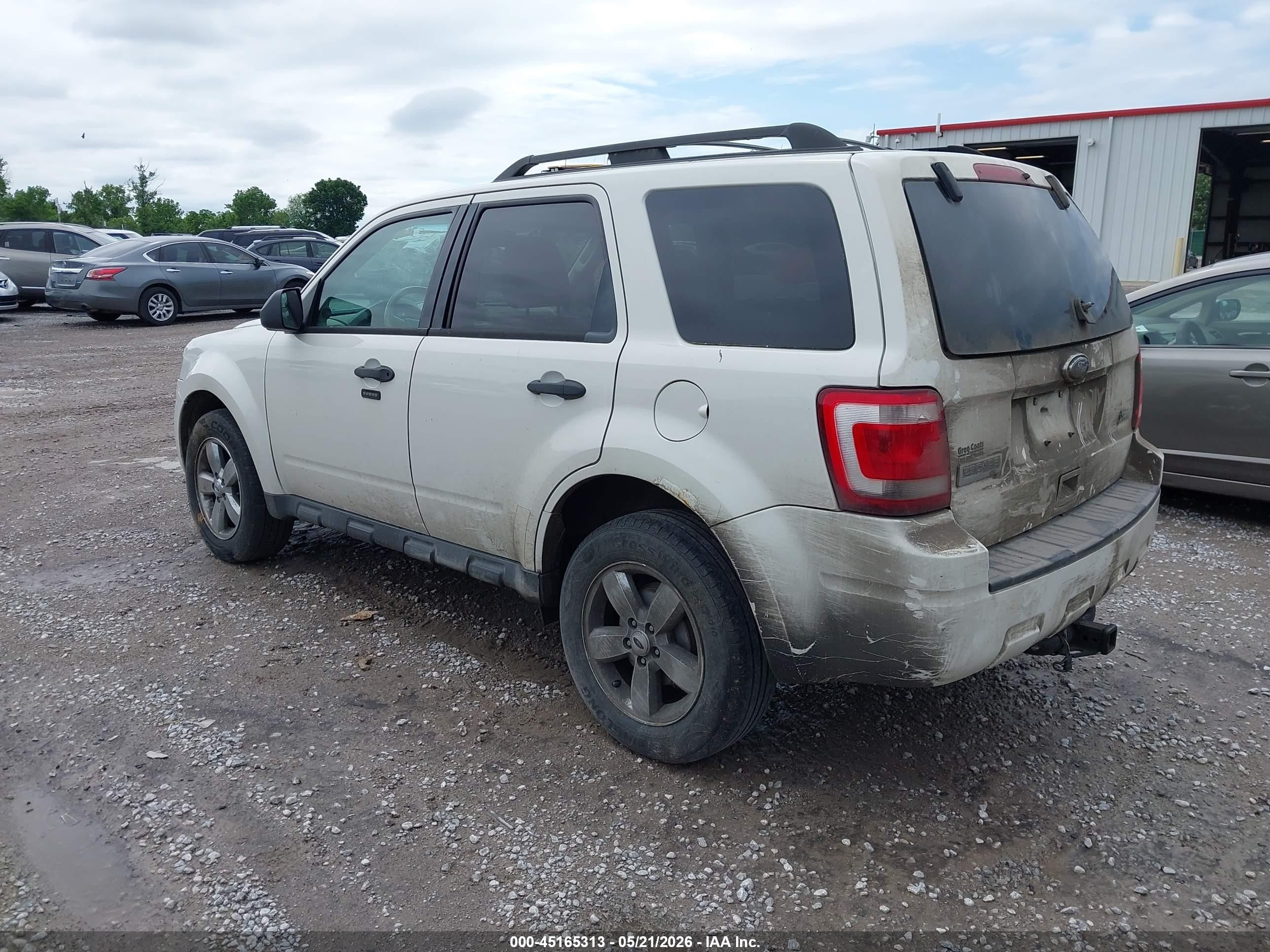 2011 Ford Escape Xlt Automatic Белый vin: 1FMCU0DG8BKA29760