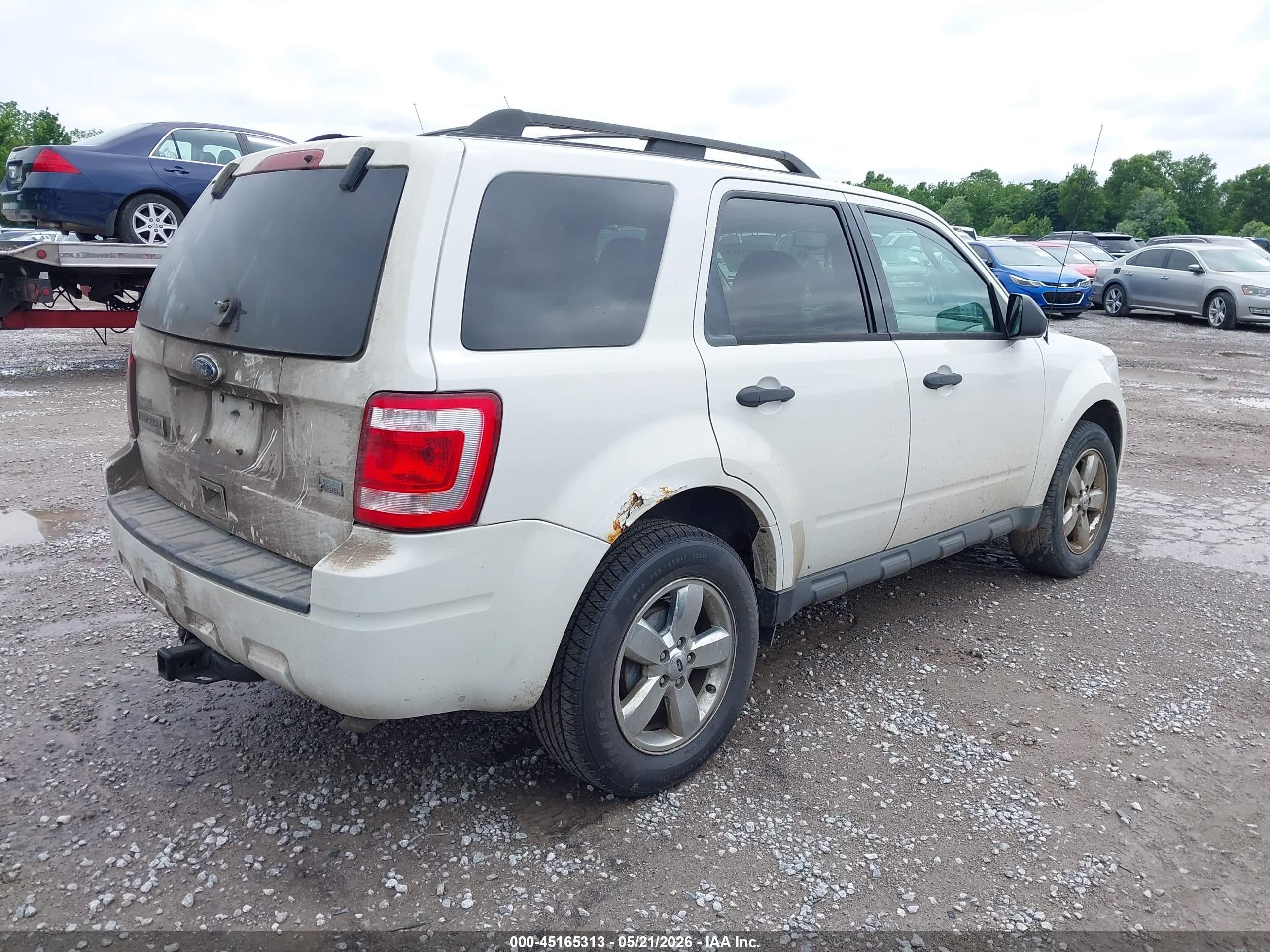 2011 Ford Escape Xlt Automatic Белый vin: 1FMCU0DG8BKA29760